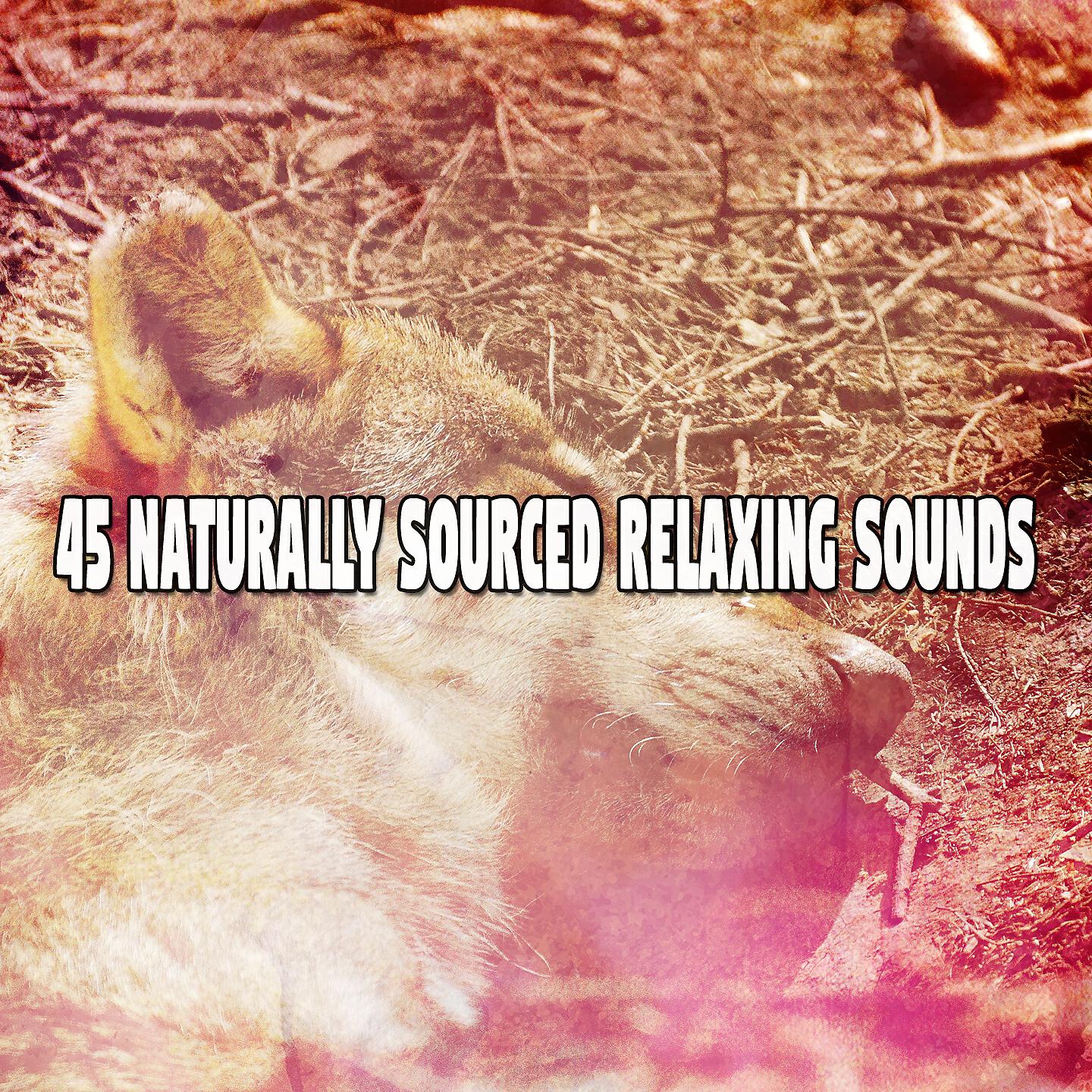 Nature Recordings - Chiming Rain Drops