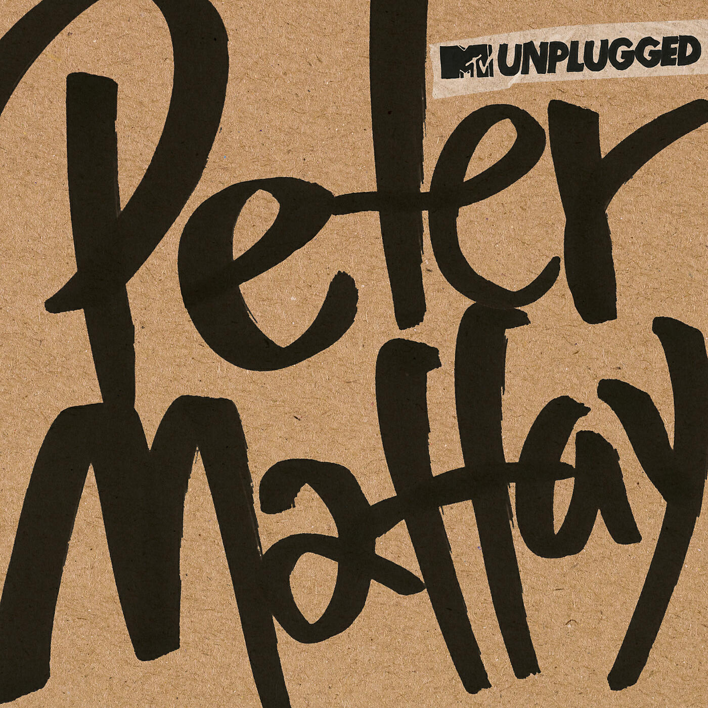 Peter Maffay - Wie soll ein Mensch das ertragen (MTV Unplugged)