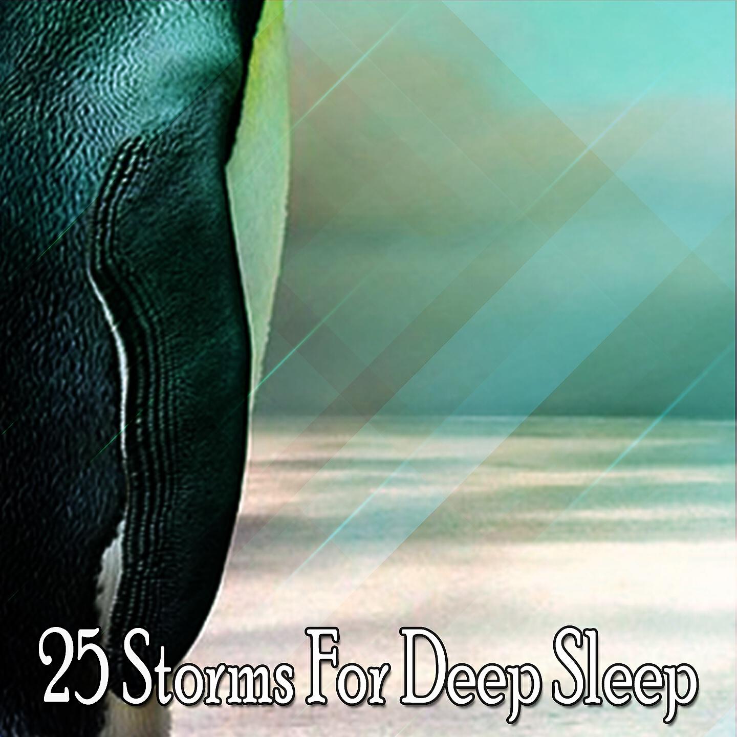 Thunderstorm Sleep - Rain In The Tree Tops