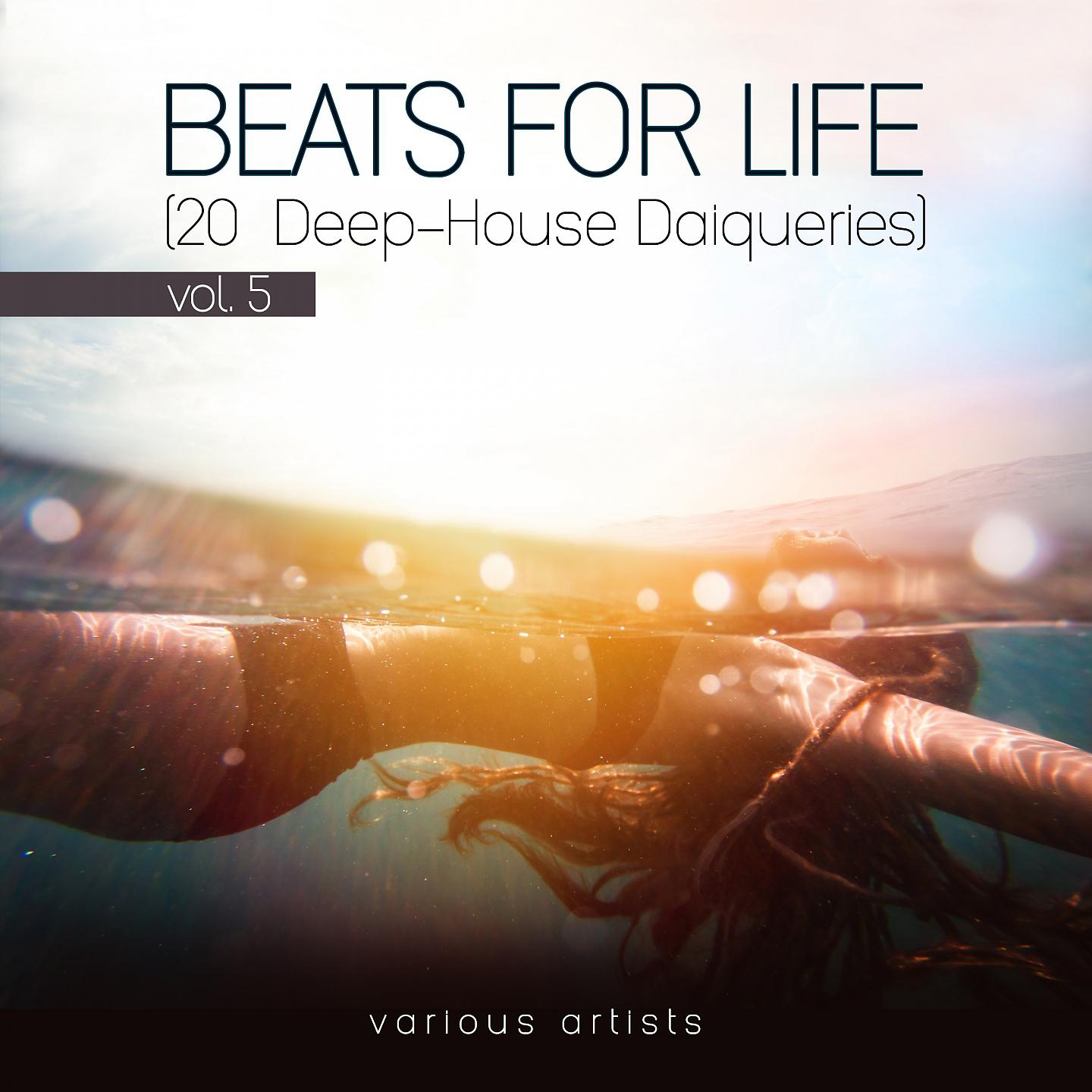 Постер альбома Beats for Life, Vol. 5 (20 Deep-House Daiqueries)