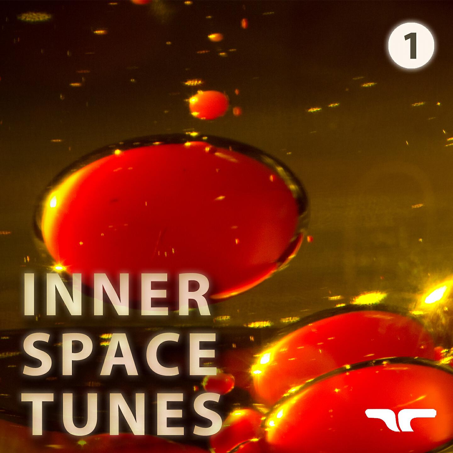 Senso - Sunrise (No trance edit)