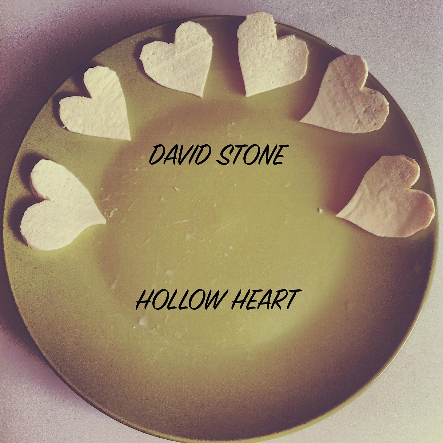 Постер альбома Hollow Heart