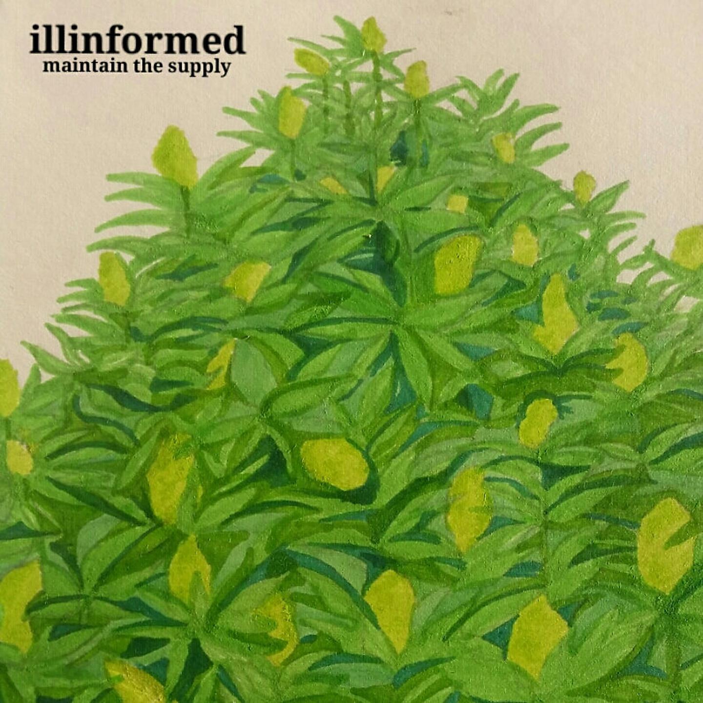 Illinformed - Stone Circuit