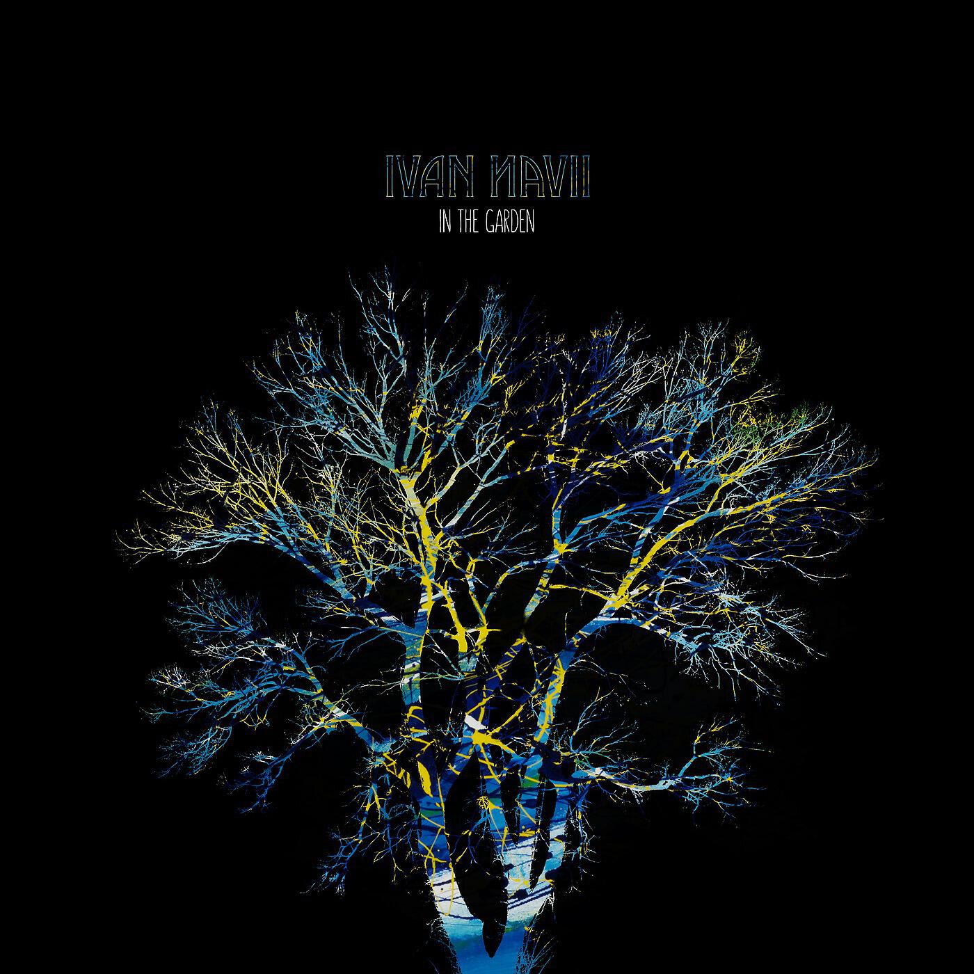 Ivan Navii - When I Was Awake