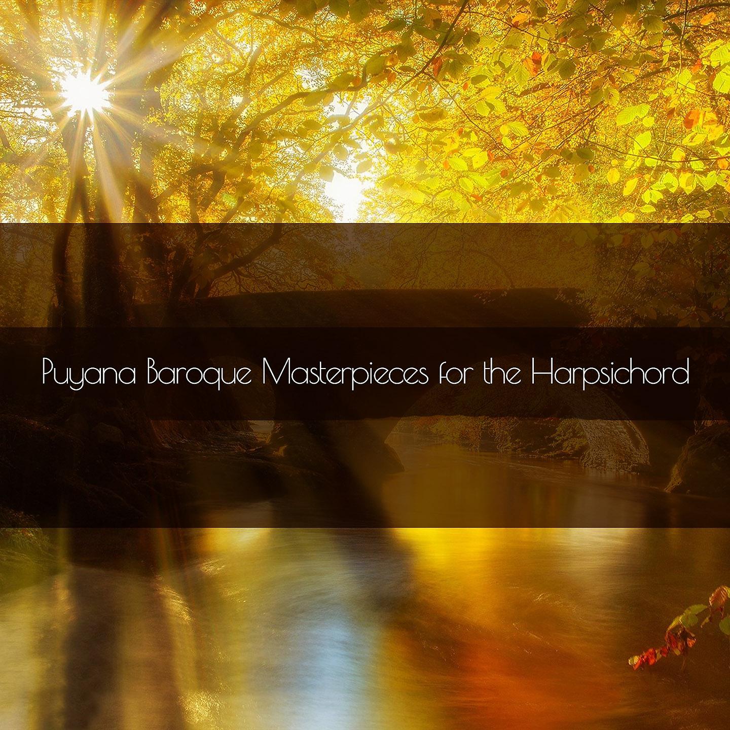 Постер альбома Puyana Baroque Masterpieces for the Harpsichord