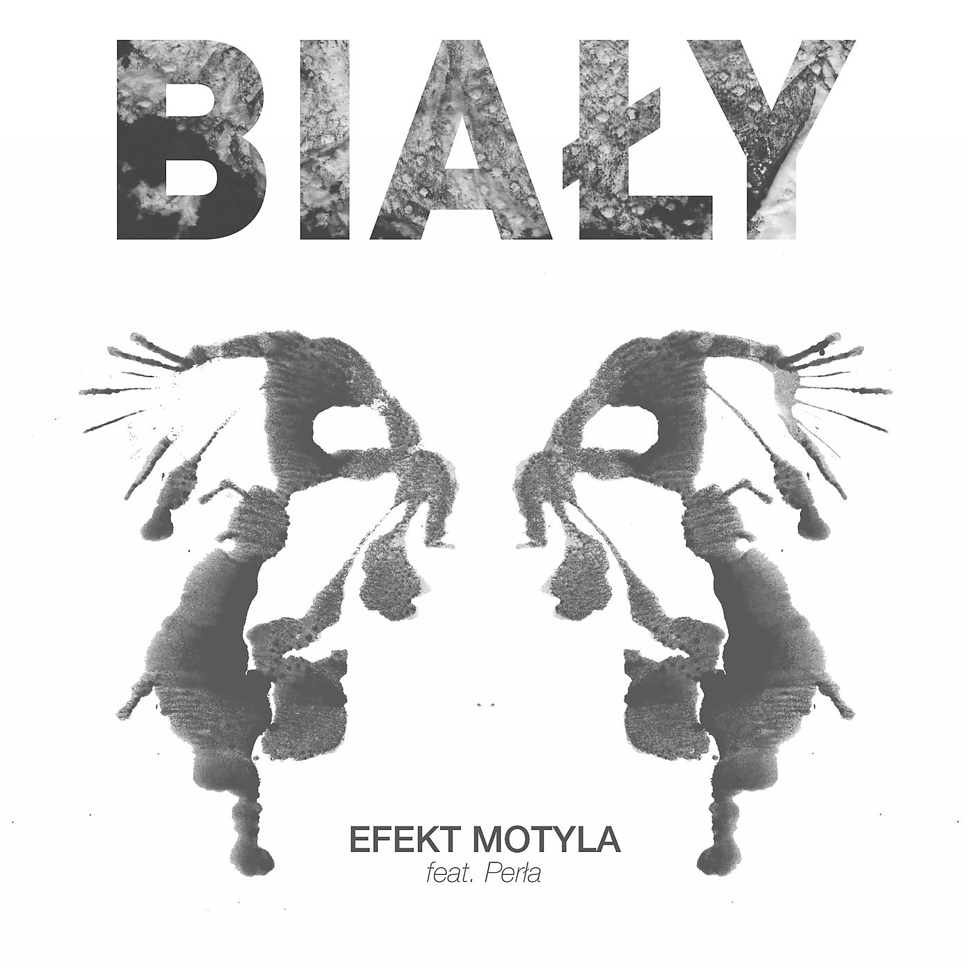 Постер альбома Efekt Motyla