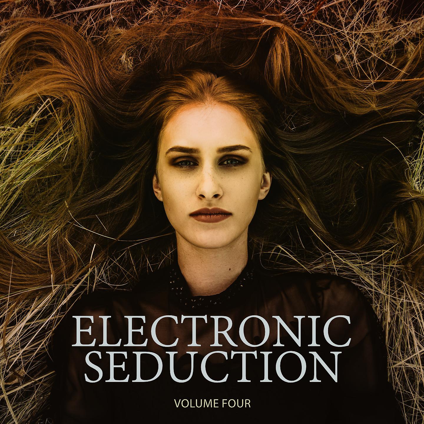 Постер альбома Electronic Seduction, Vol. 4