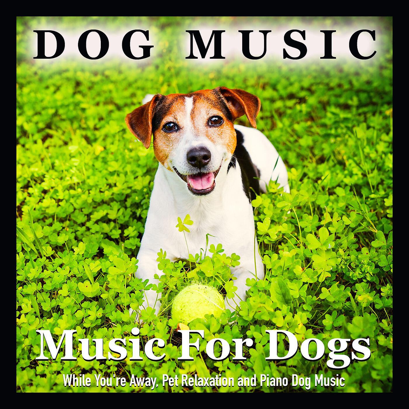 Dog Music - Dog Music (Music for Your Dog)