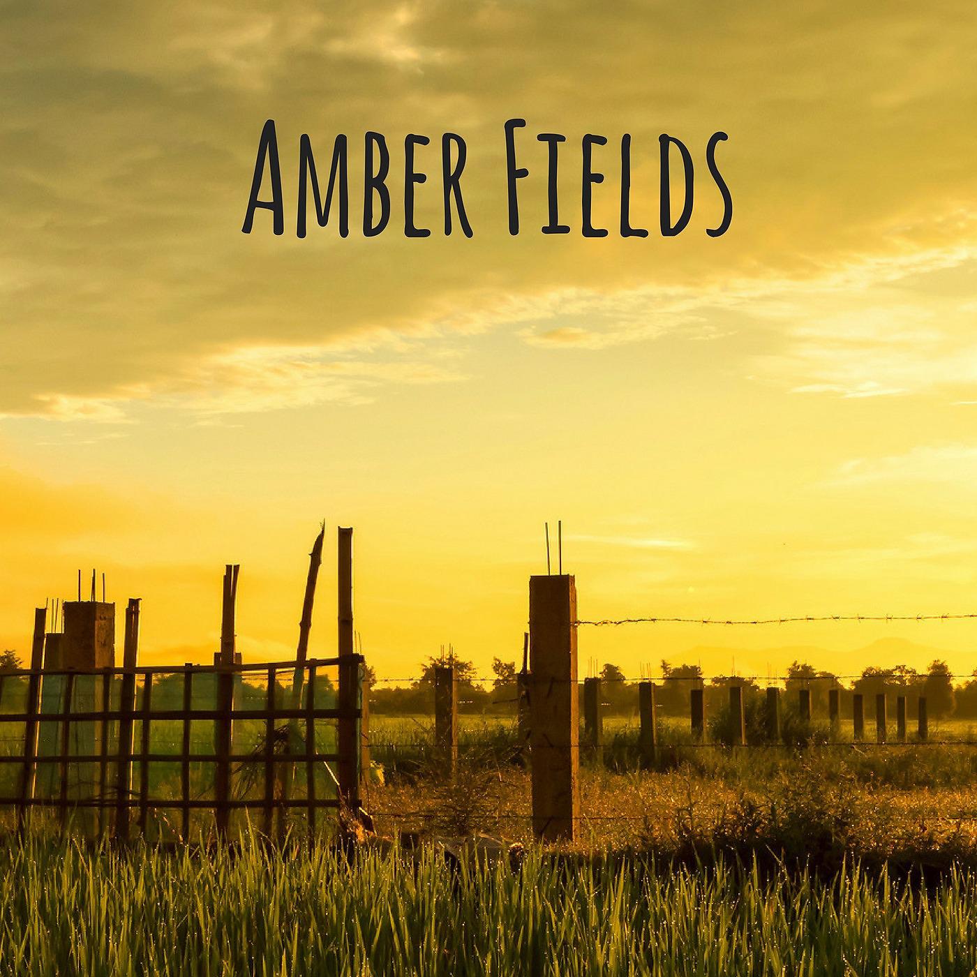 Постер альбома Amber Fields