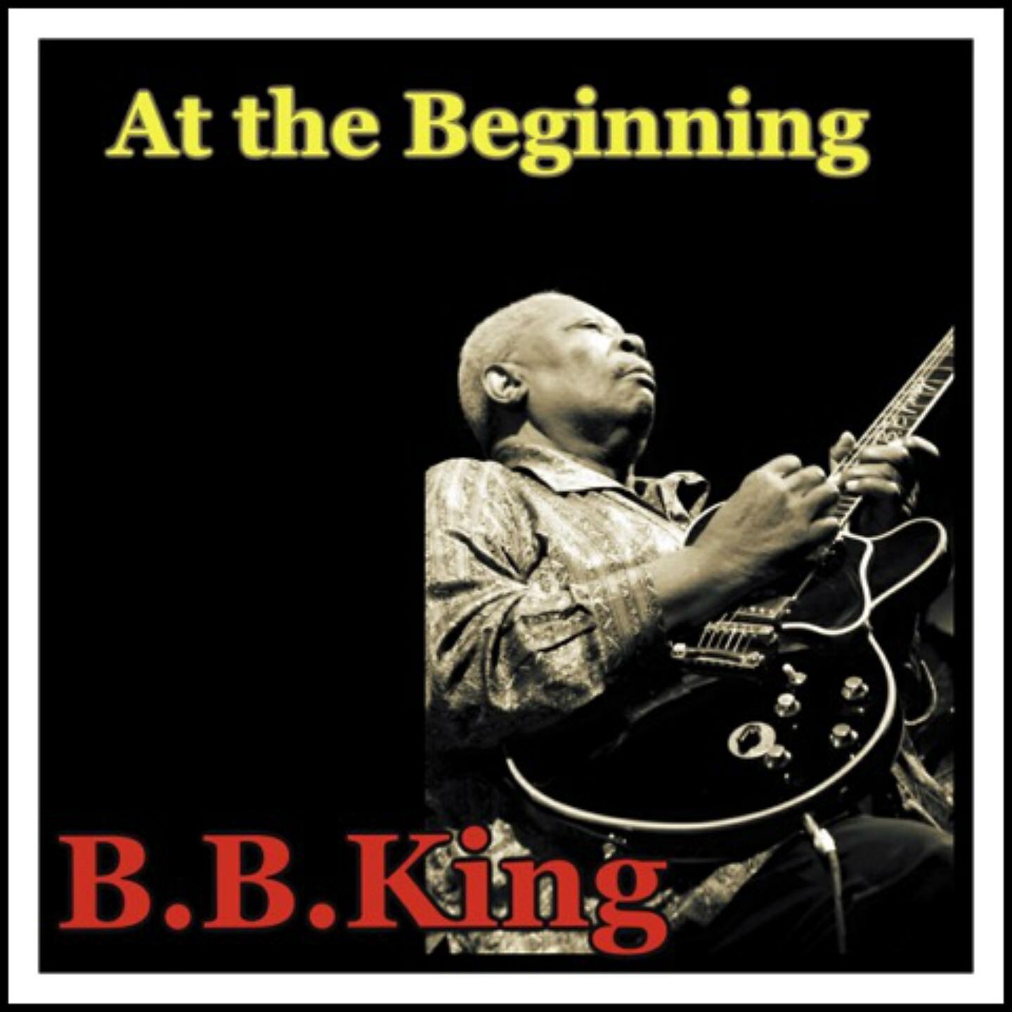 B.B. King - You Didn't Want Me