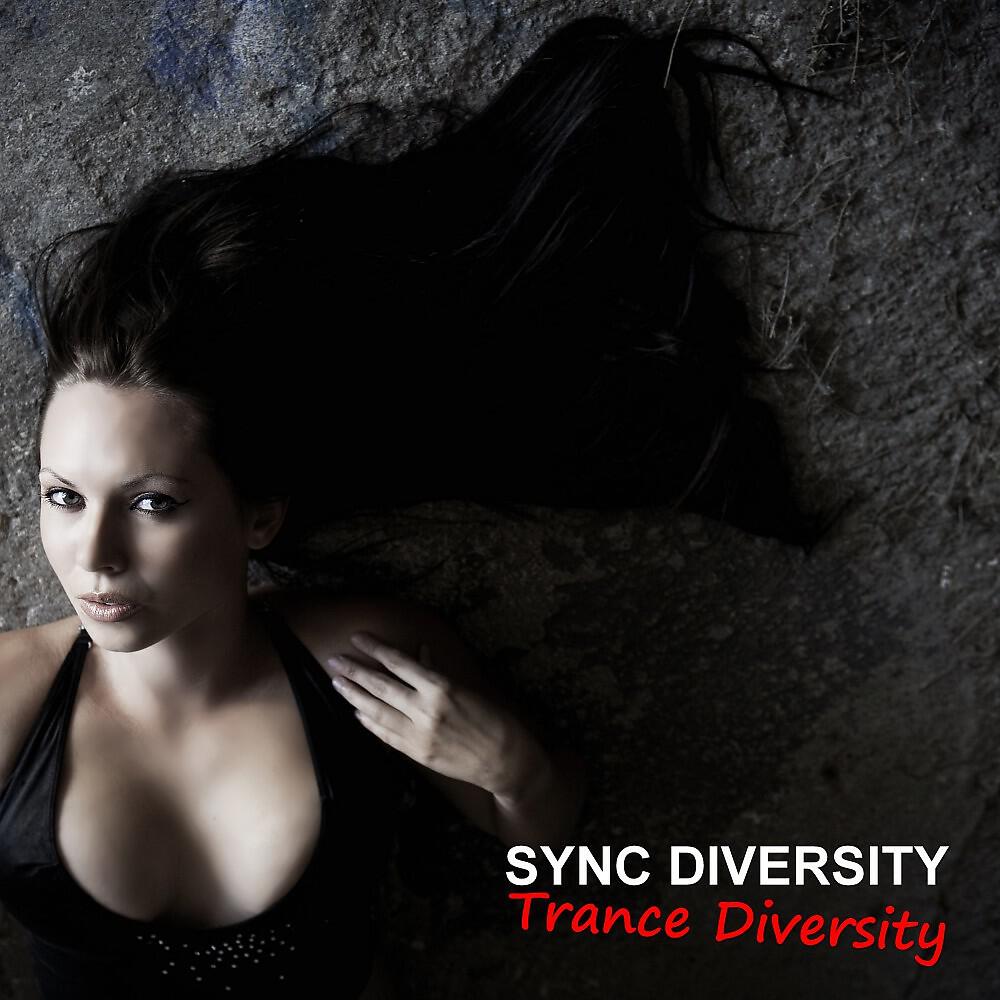 Sync Diversity - You Can Try (Club Mix)