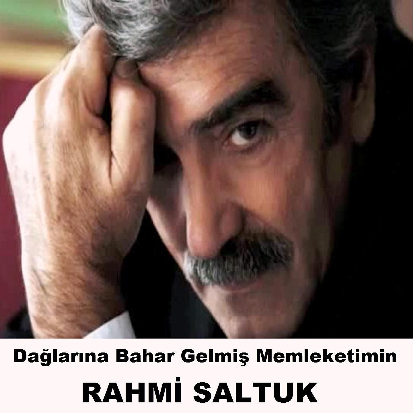 Постер альбома Dağlarına Bahar Gelmiş Memleketimin