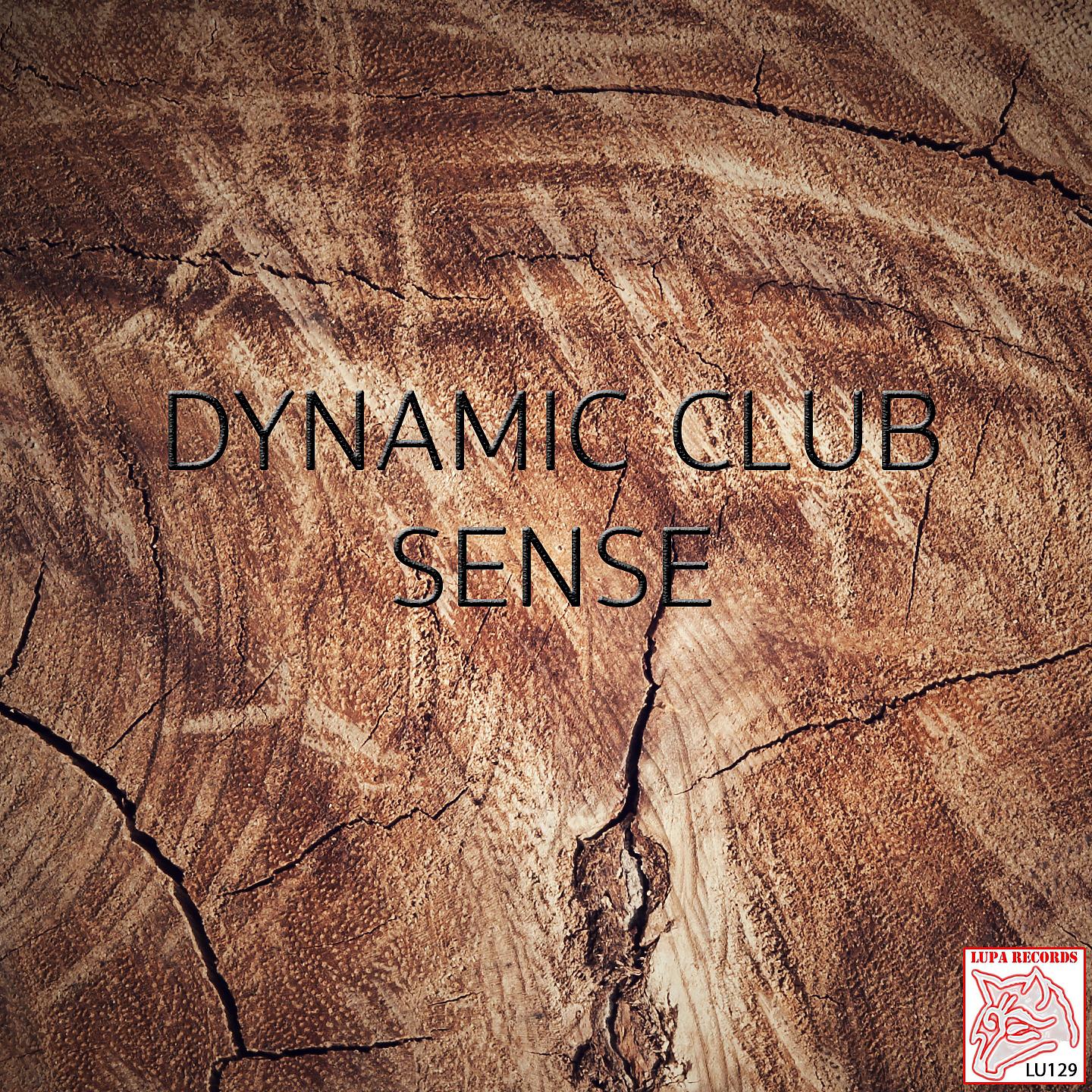 Постер альбома Dynamic Club Sense