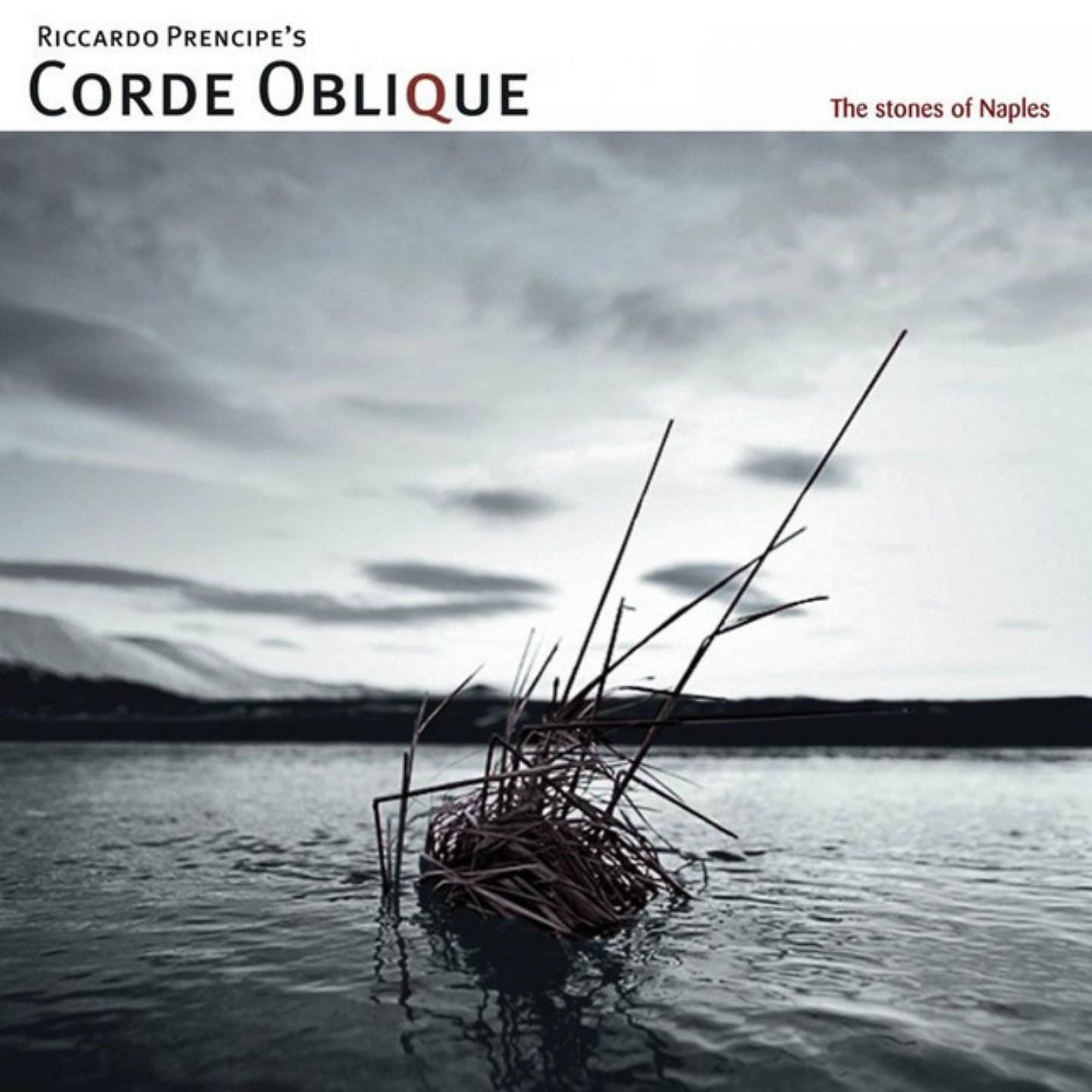 Corde Oblique - Flower Bud
