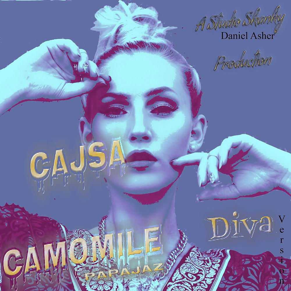 Постер альбома Diva (Studio Skanky Version)
