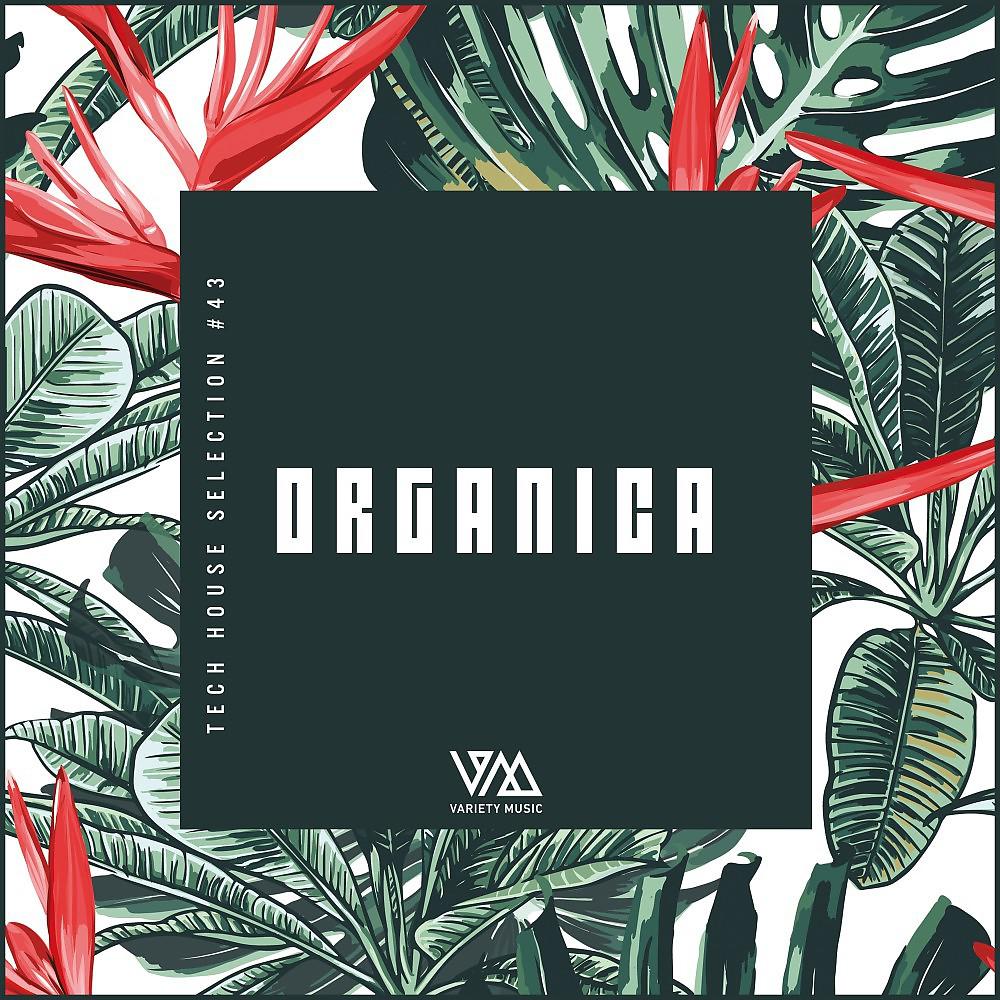 Постер альбома Organica #43