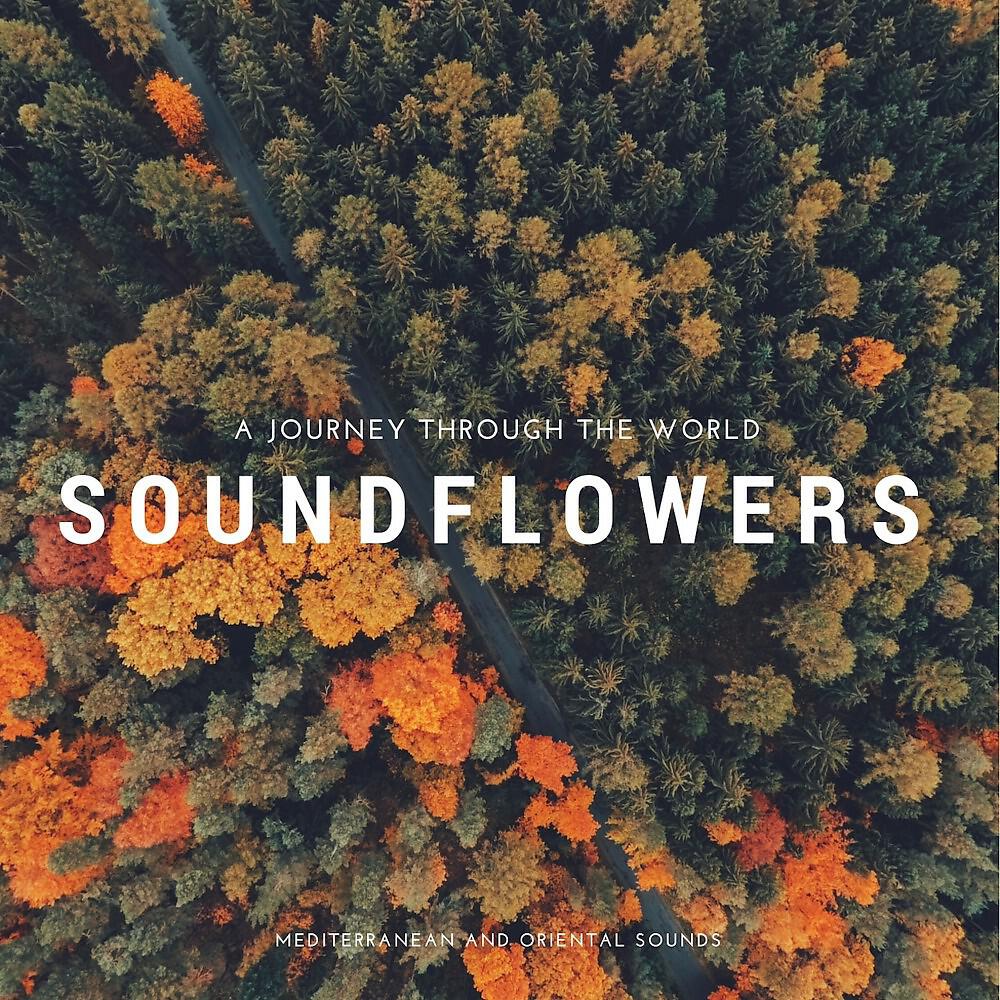 Soundflowers - Celestial Love