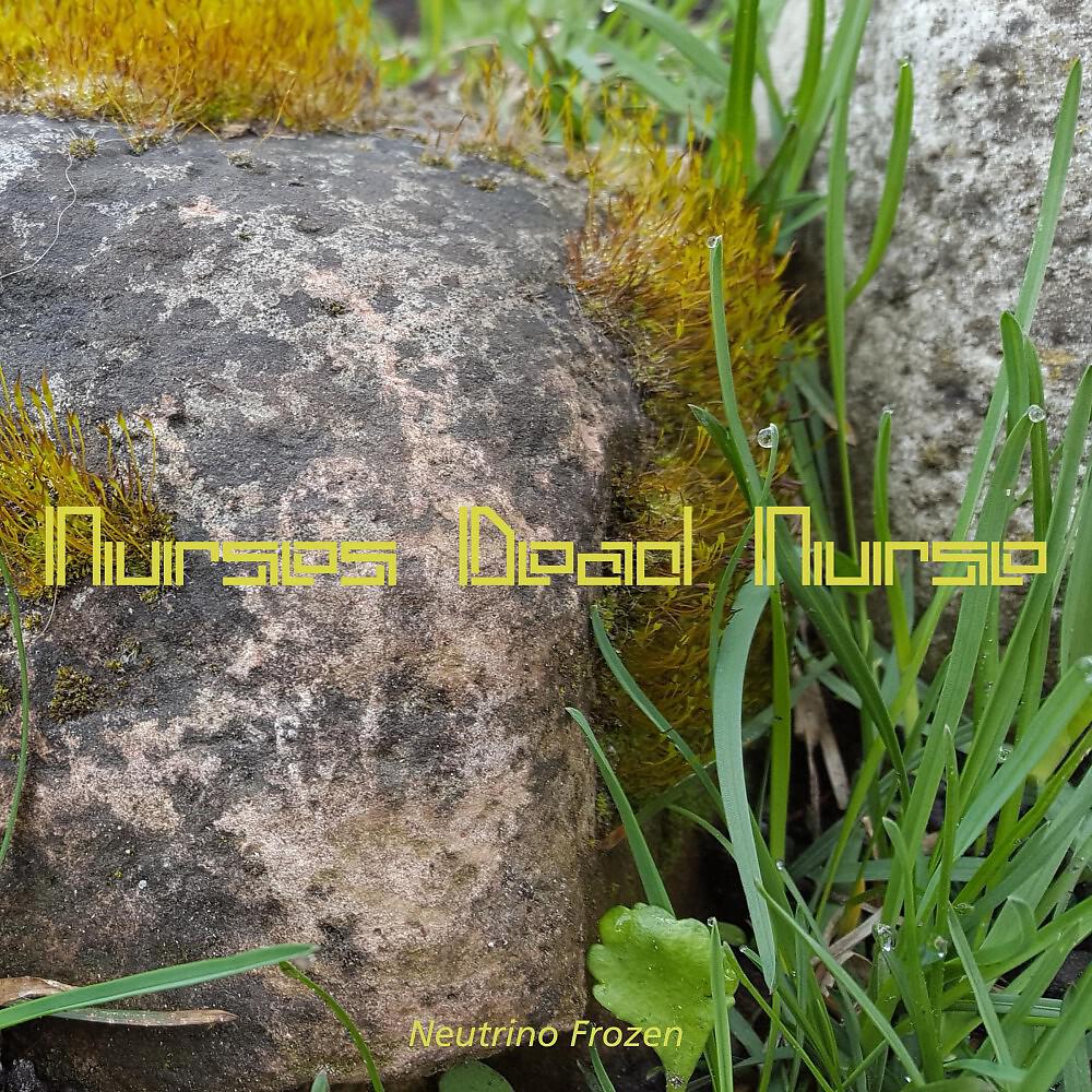Neutrino Frozen - Nurses Dead Nurse