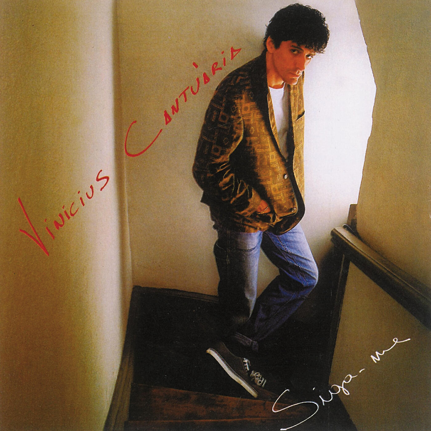 Vinicius Cantuaria - Ja Cansei