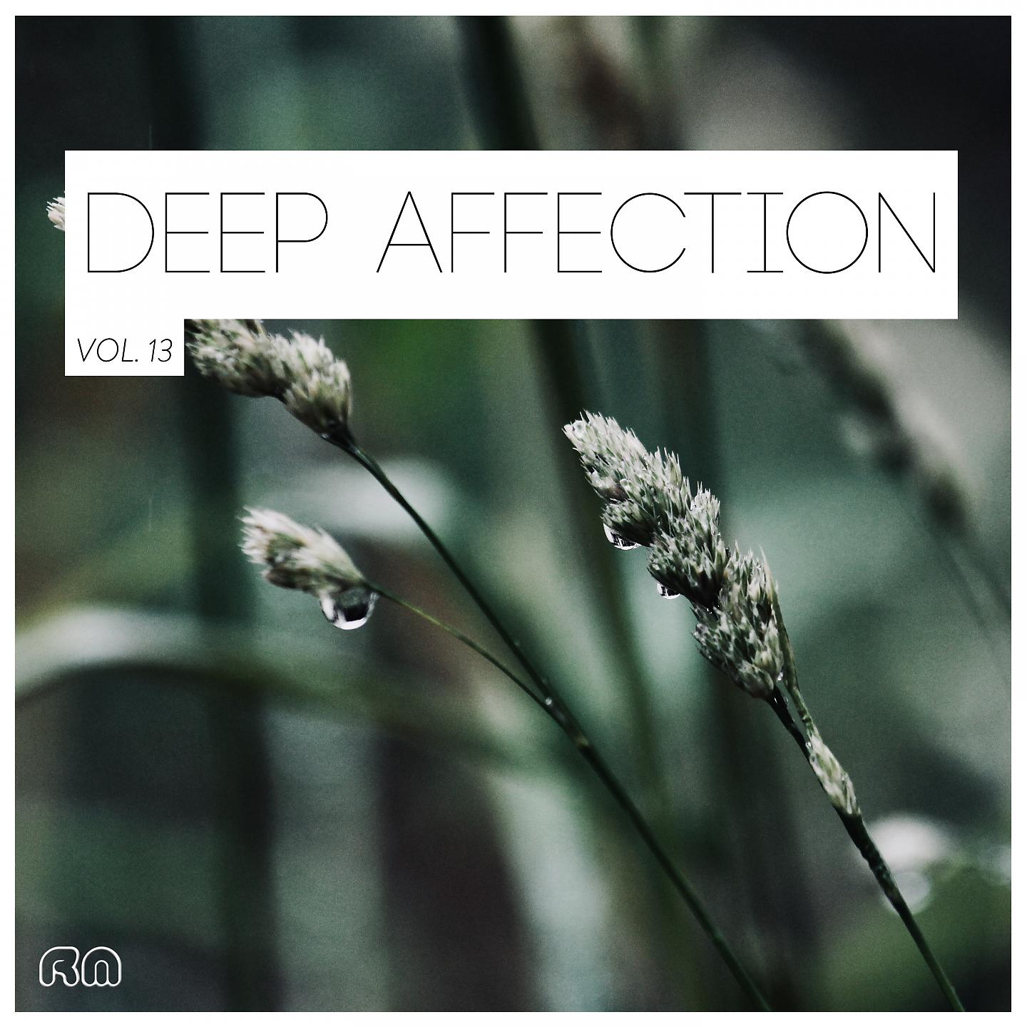 Постер альбома Deep Affection, Vol. 13