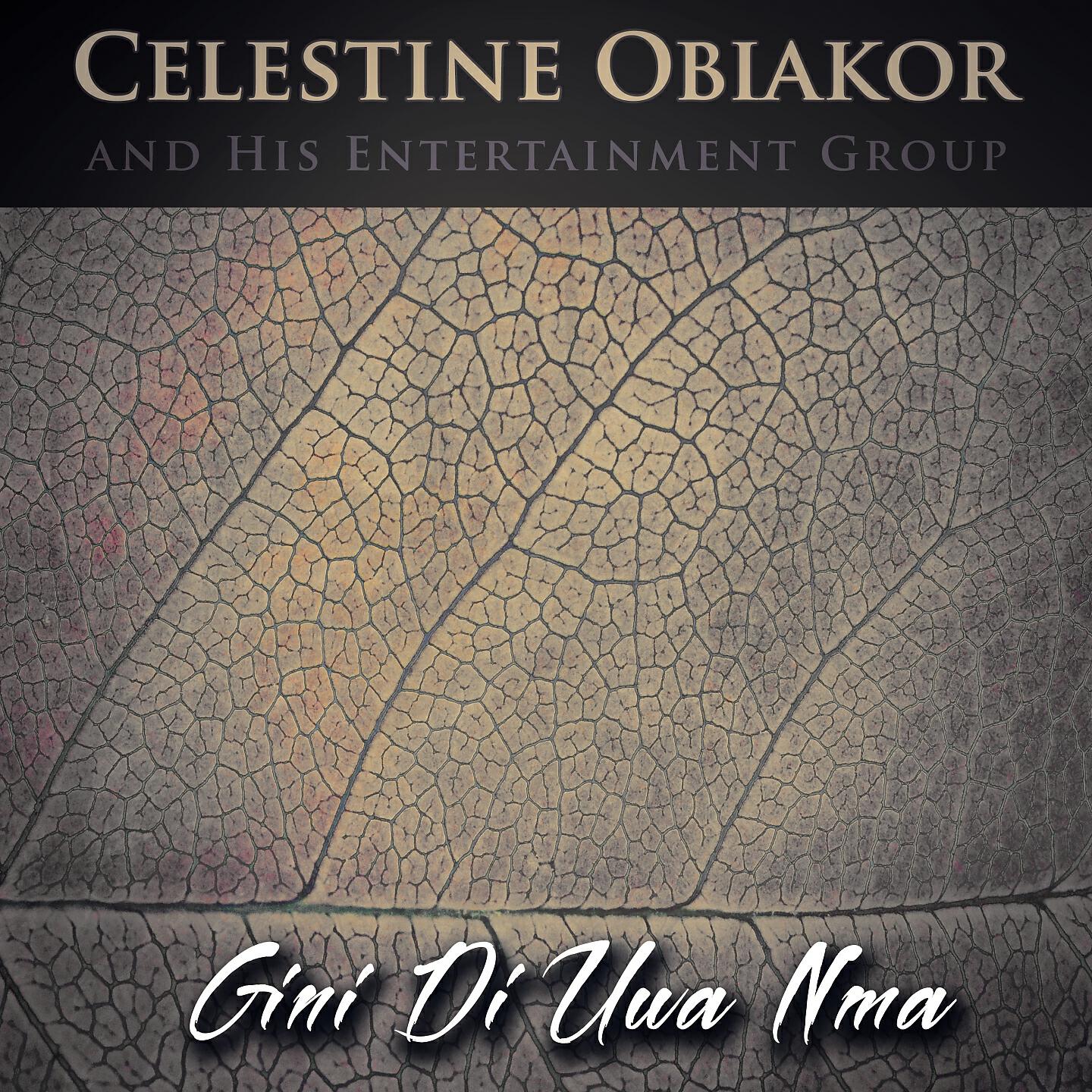Celestine Obiakor and His Entertainment Group - Nso Nso Ka Onye Nweanyi Di