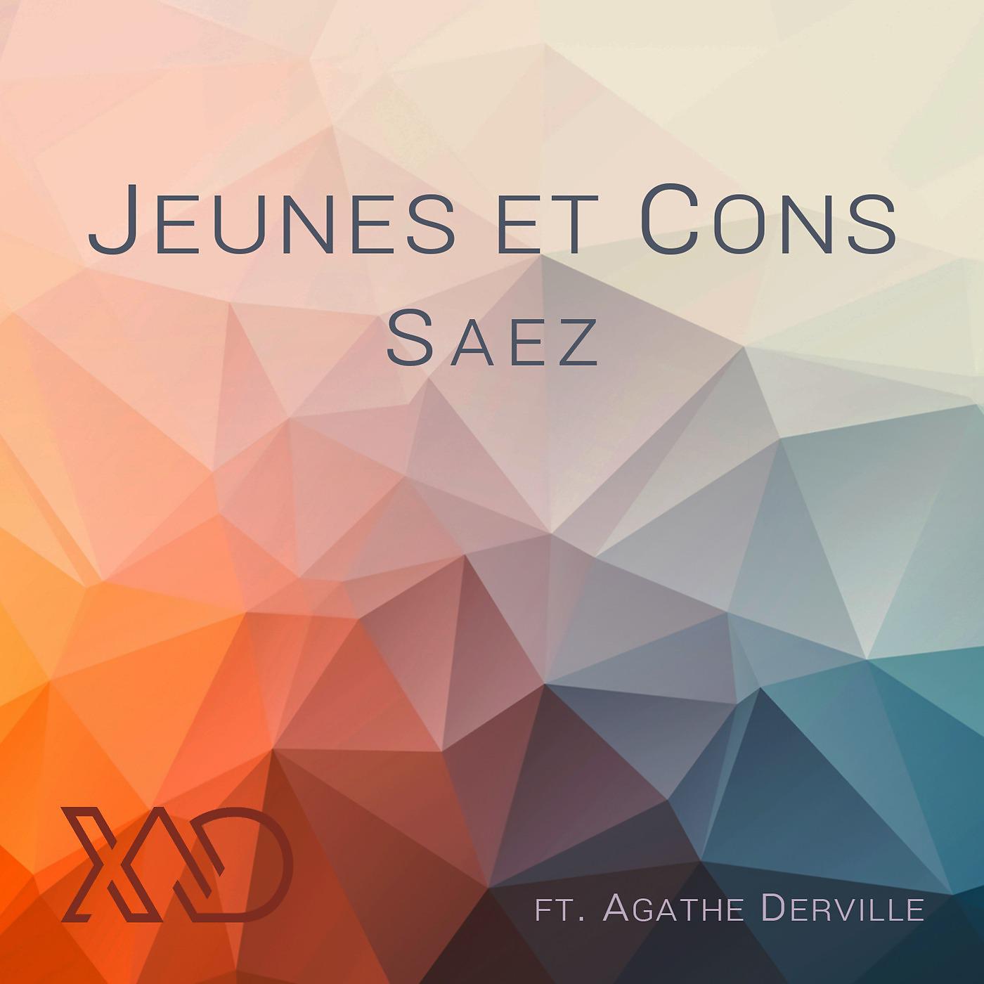 Постер альбома Jeunes et cons