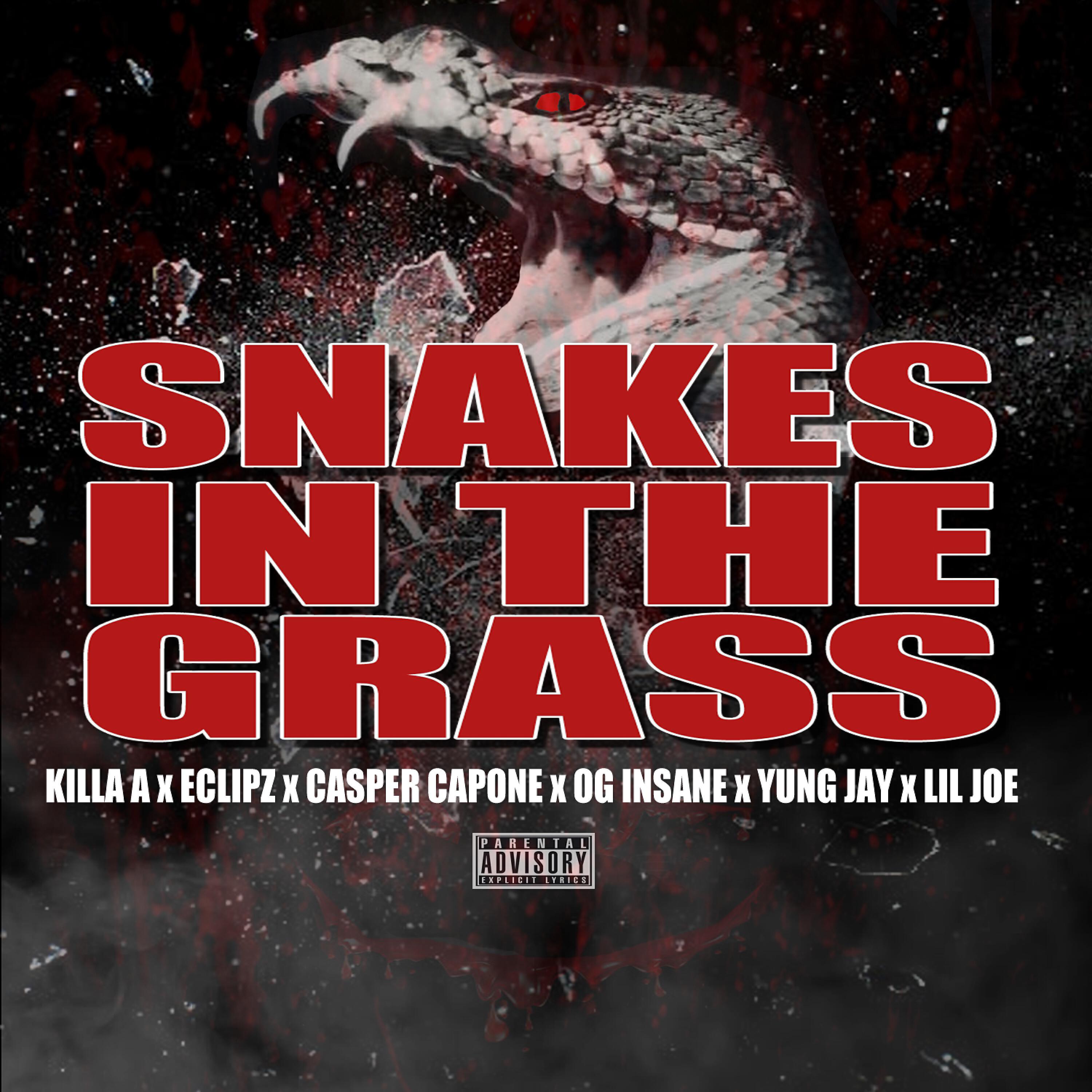 OG Insane - Snakes in the Grass (feat. Eclipz, OG Insane, Lil Joe & Yung Jay)