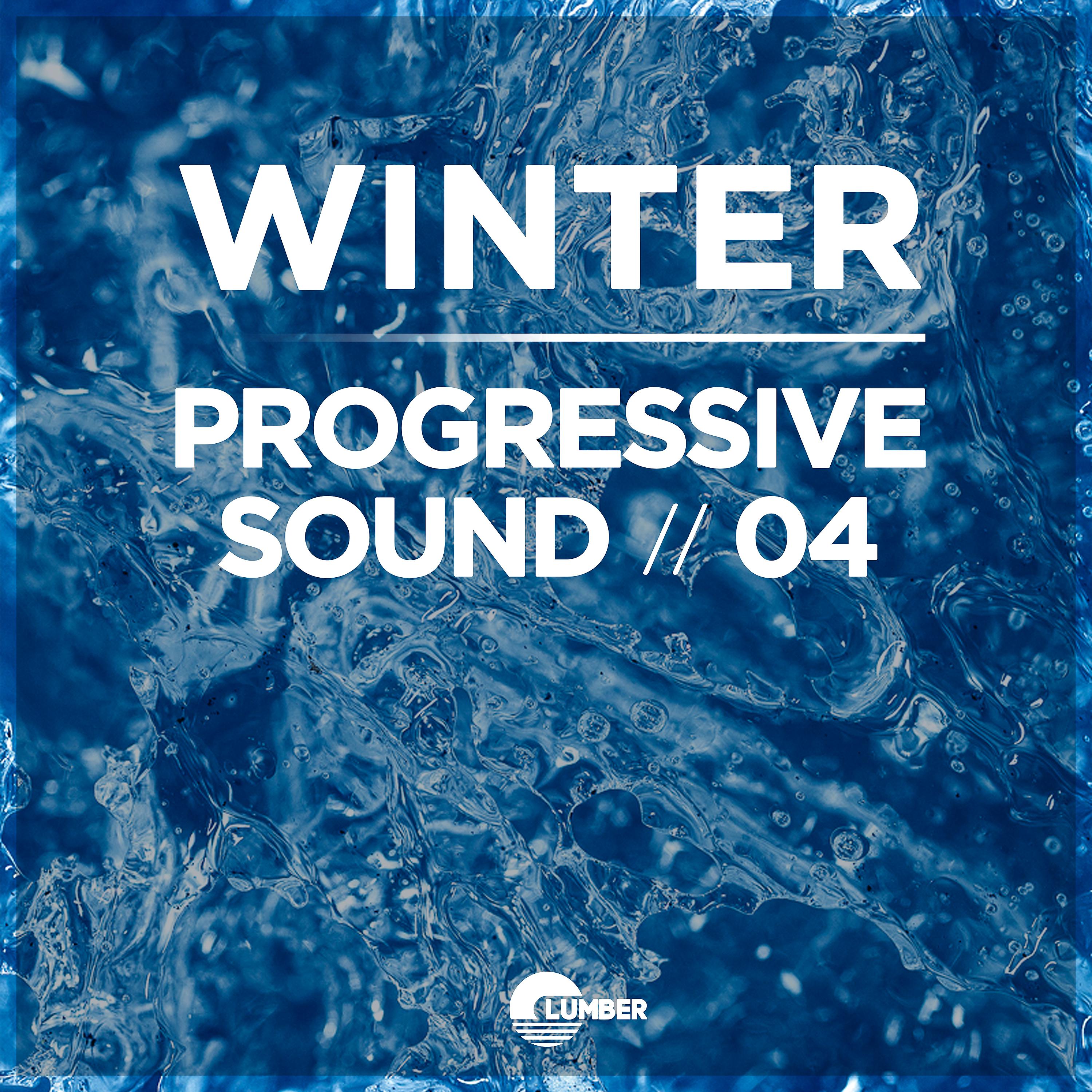 Постер альбома Winter Progressive Sound, Vol. 4