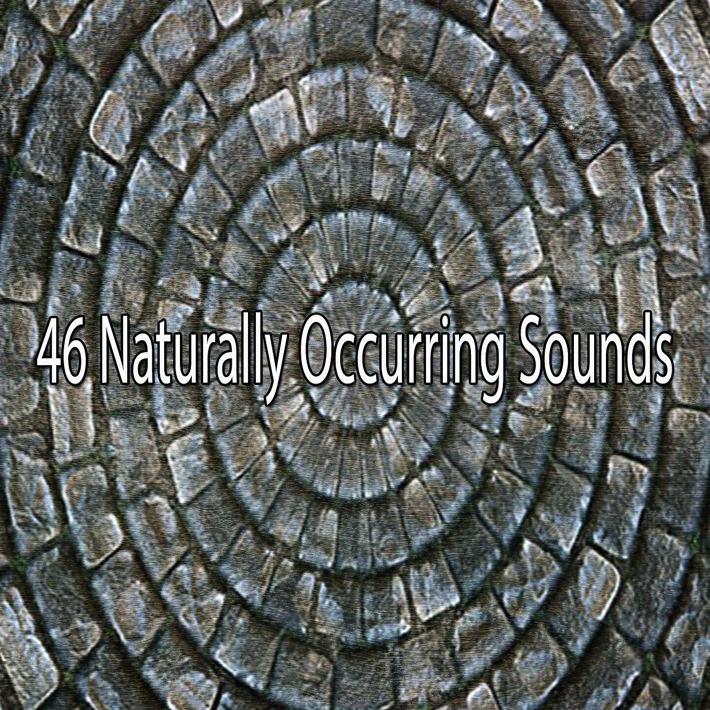 Nature Recordings - Chiming Rain Drops