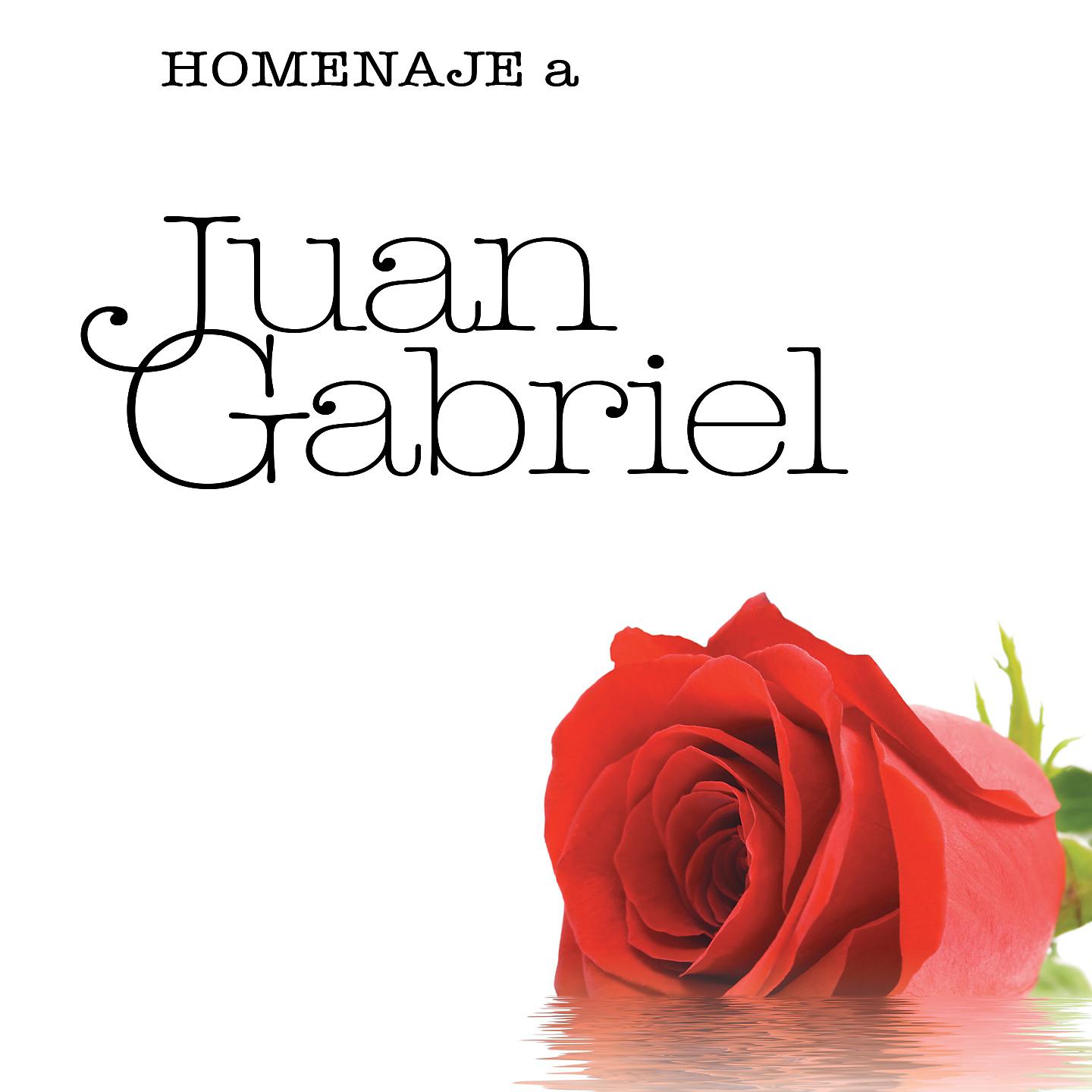 Постер альбома Homenaje a Juan Gabriel