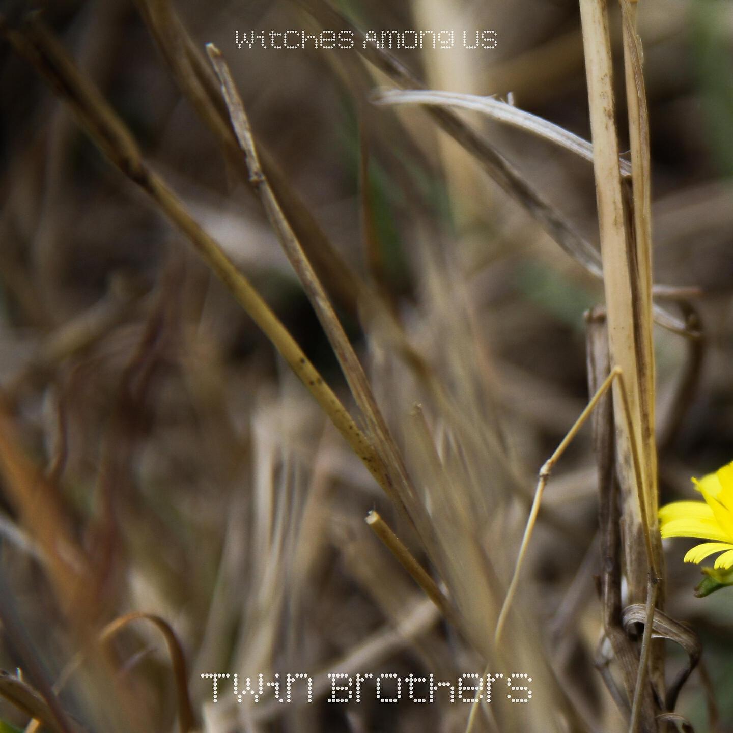 Witches Among Us - Twin Brothers