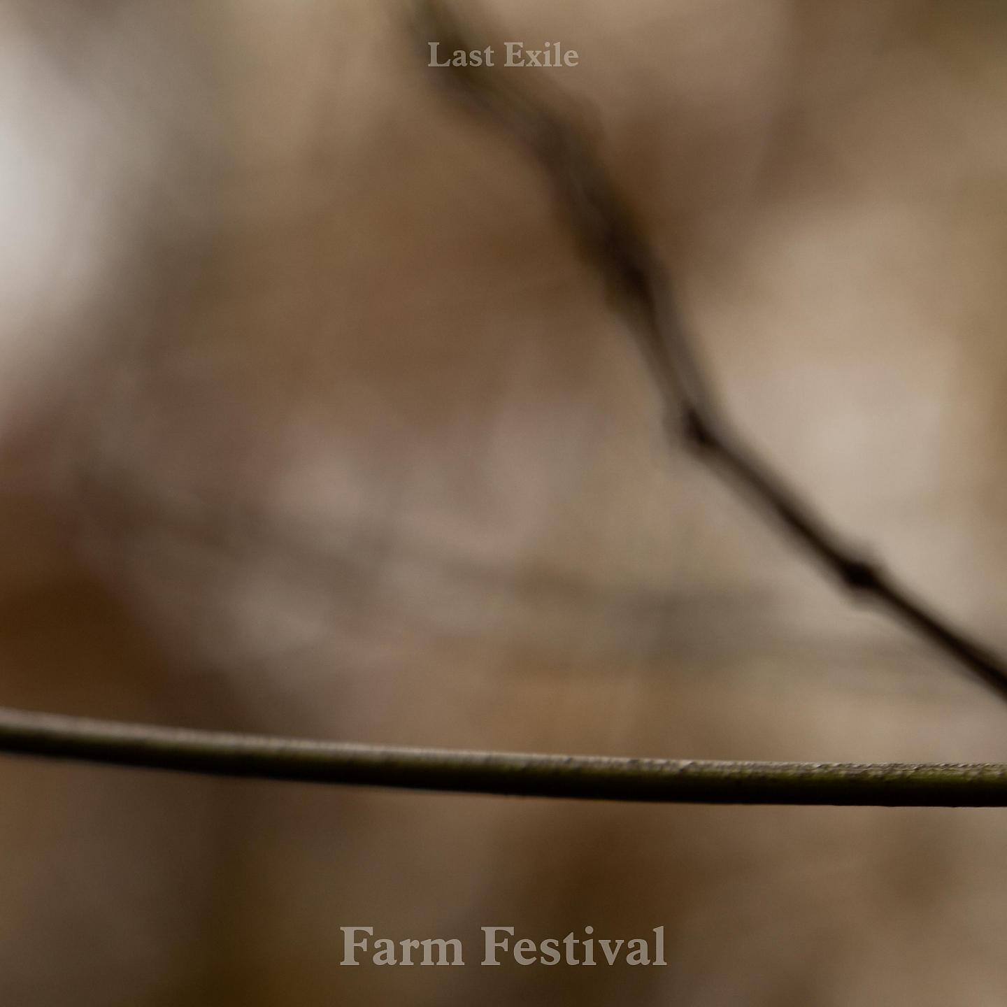 Постер альбома Farm Festival