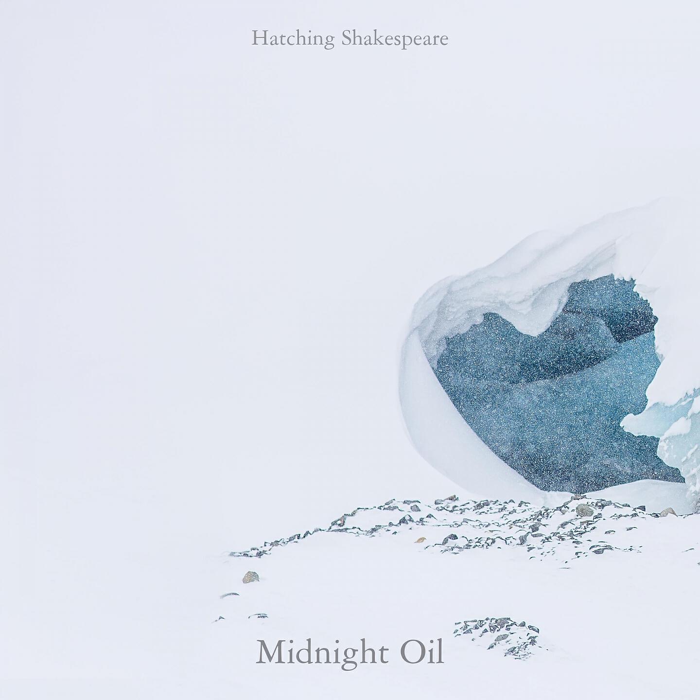 Hatching Shakespeare - Martin Luther King
