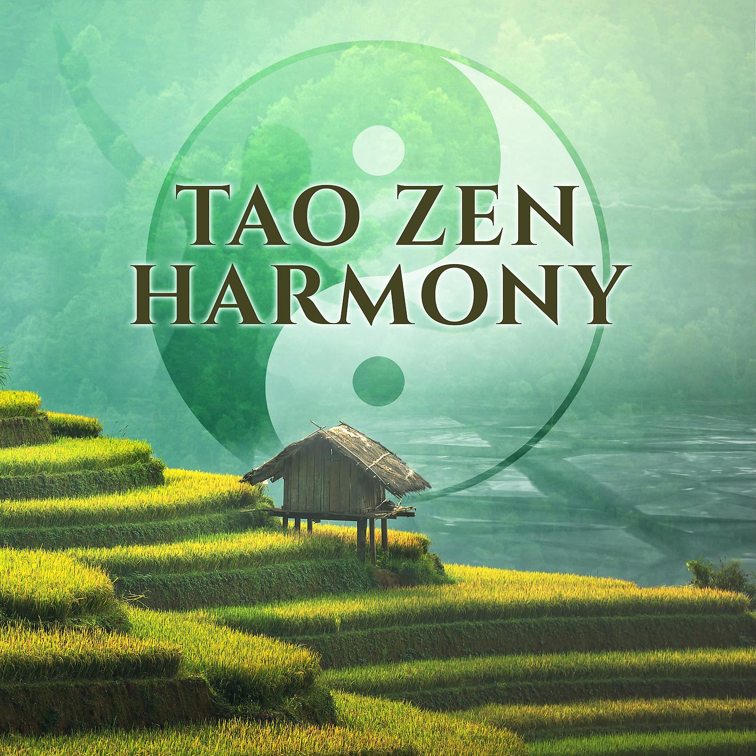Постер альбома Tao Zen Harmony: Oriental Music for Yin Yoga, Power from Deep Meditation, Soul Relaxation, Spiritual Journey, Balancing Body & Mind