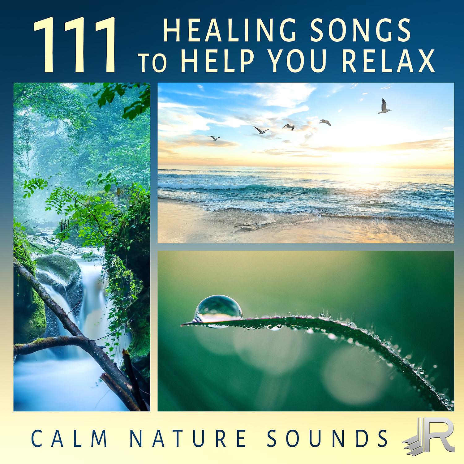Постер альбома 111 Healing Songs to Help You Relax: Calm Nature Sounds for Spa & Instrumental Background Music for Yoga, Meditation, Reduce Stress and Sleep