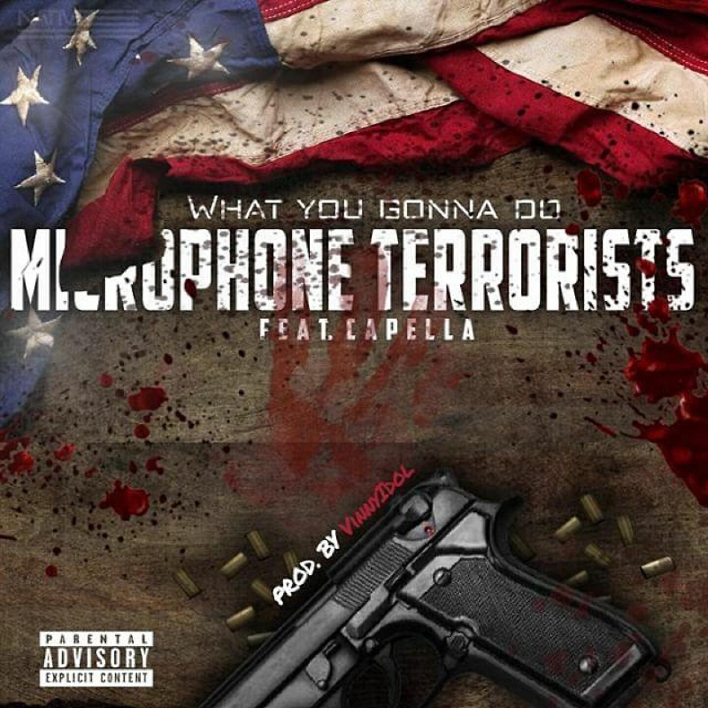 Microphone Terrorists - What You Gonna Do