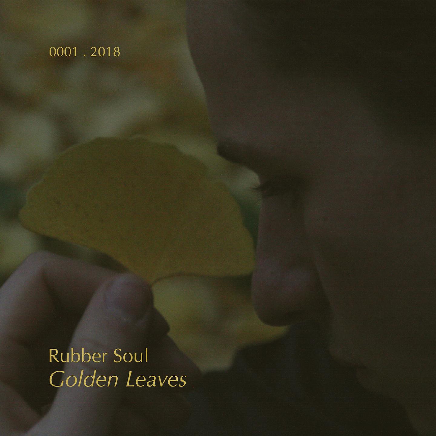 Постер альбома Golden Leaves