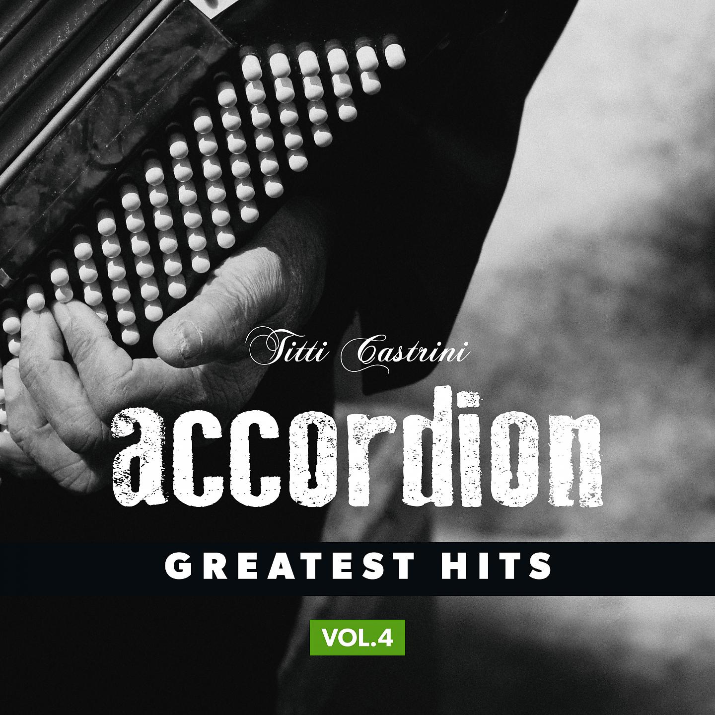 Постер альбома Accordion, Greatest Hits, Vol.4