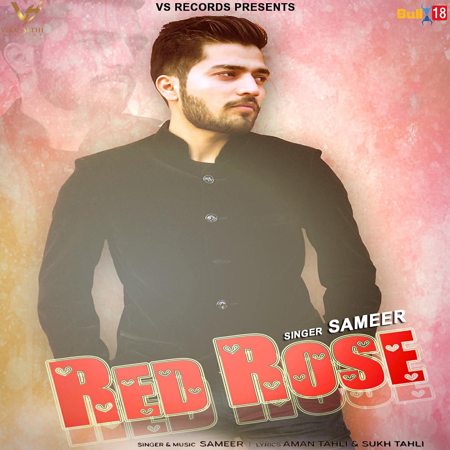 Sameer - Red Rose