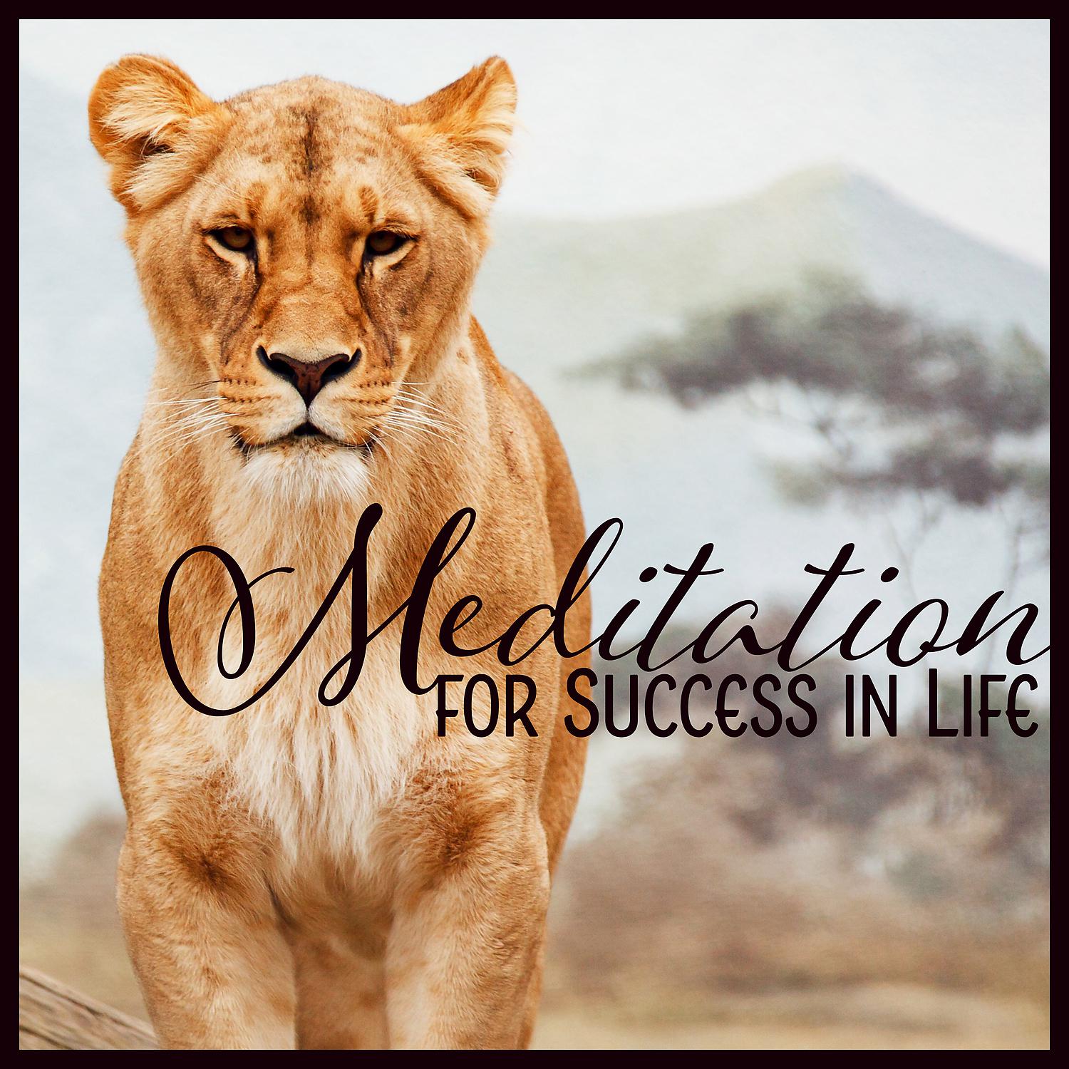 Постер альбома Meditation for Success in Life