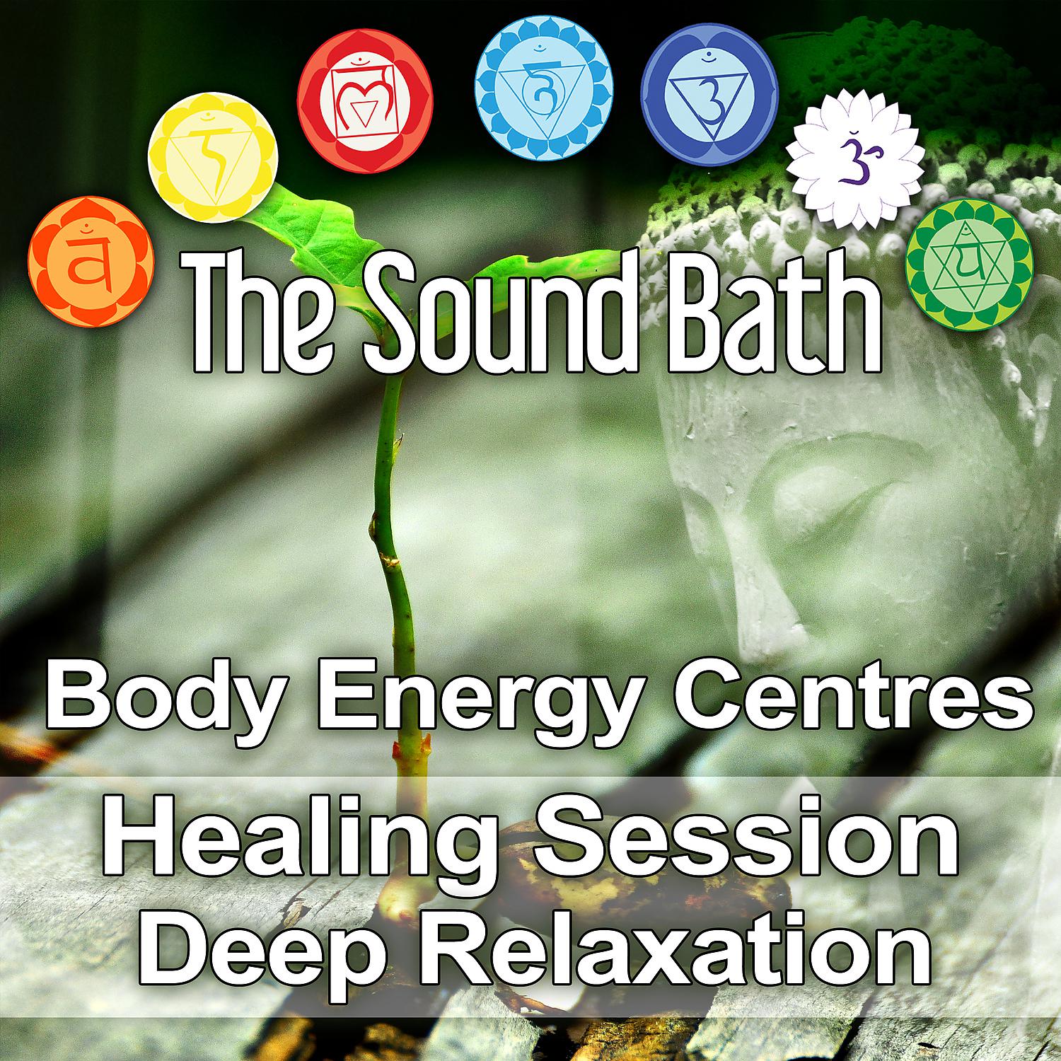 Постер альбома The Sound Bath: Body Energy Centres Healing Session - Deep Relaxation, Rejuvenation and an Acceleration of Inward Journey, Waves of Peace, Heightened Awareness, Relaxation of the Mind, Spirit & Body