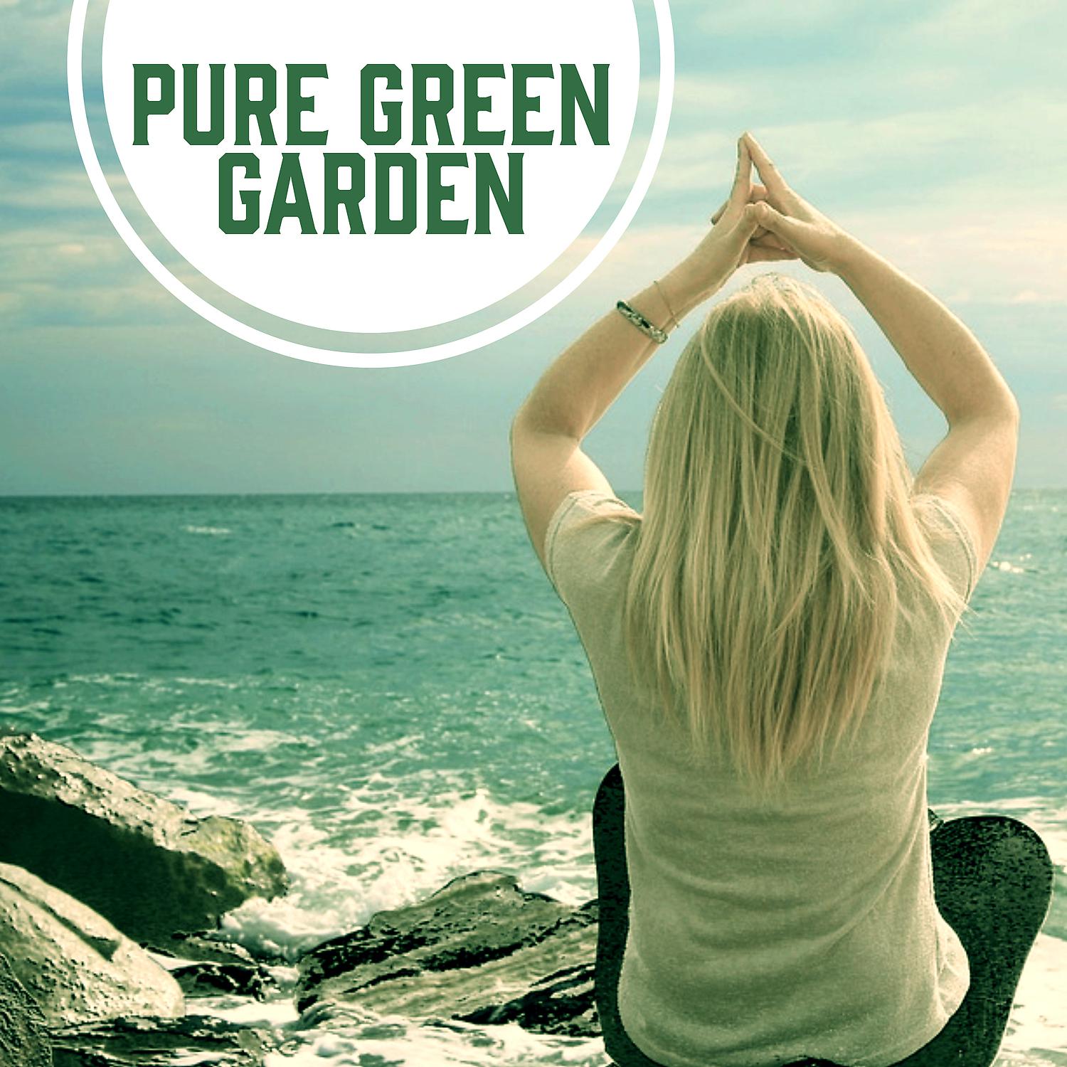 Постер альбома Pure Green Garden – Stillness, Calm, Head, Pure Mind, Remember, Think, Quieten, Practise