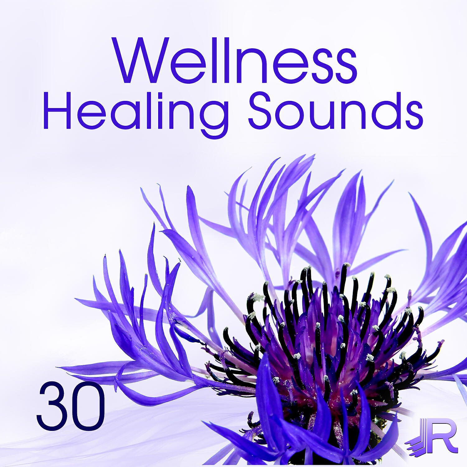 Wellness Spa Oasis - Time to Relax, SPA Massage Music