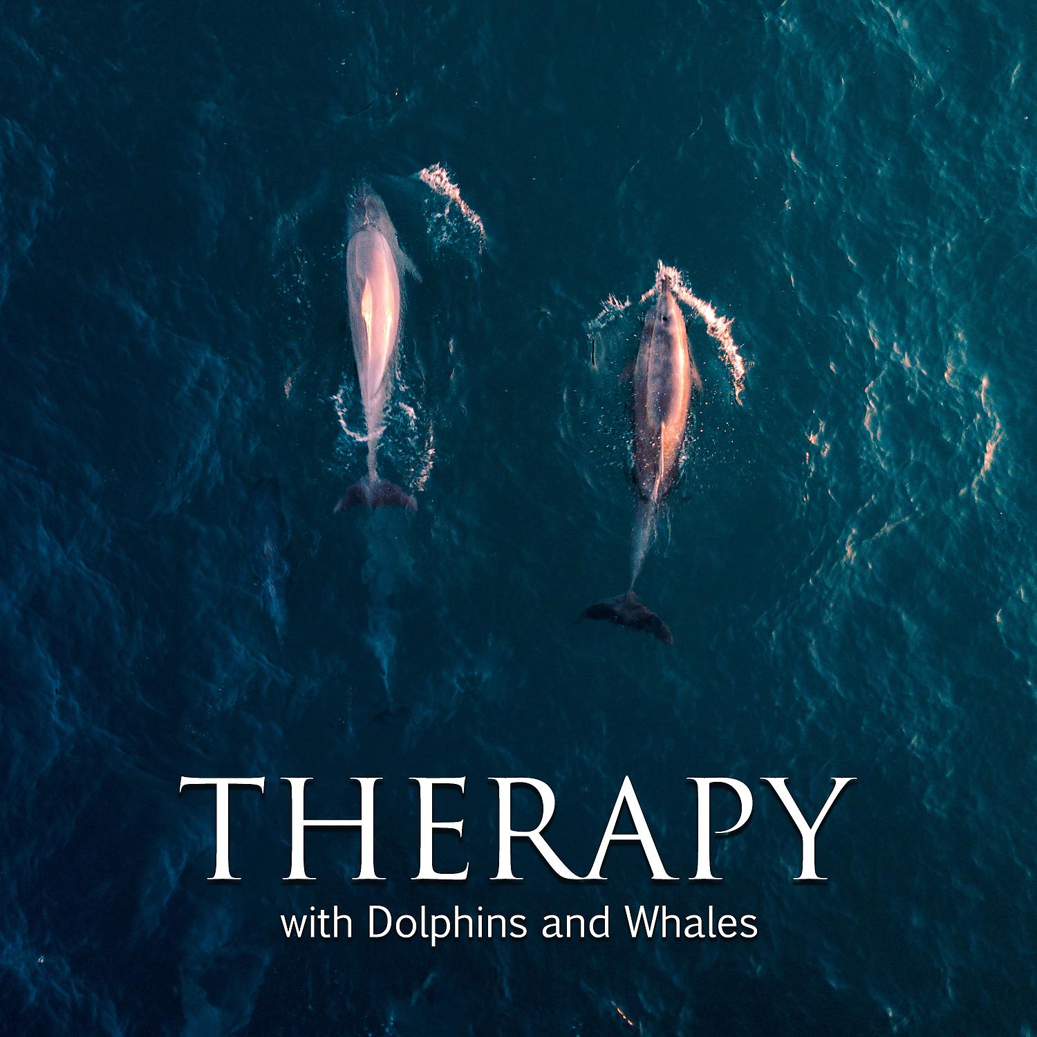 Постер альбома Therapy with Dolphins and Whales: Calm and Deep Underwater Sounds