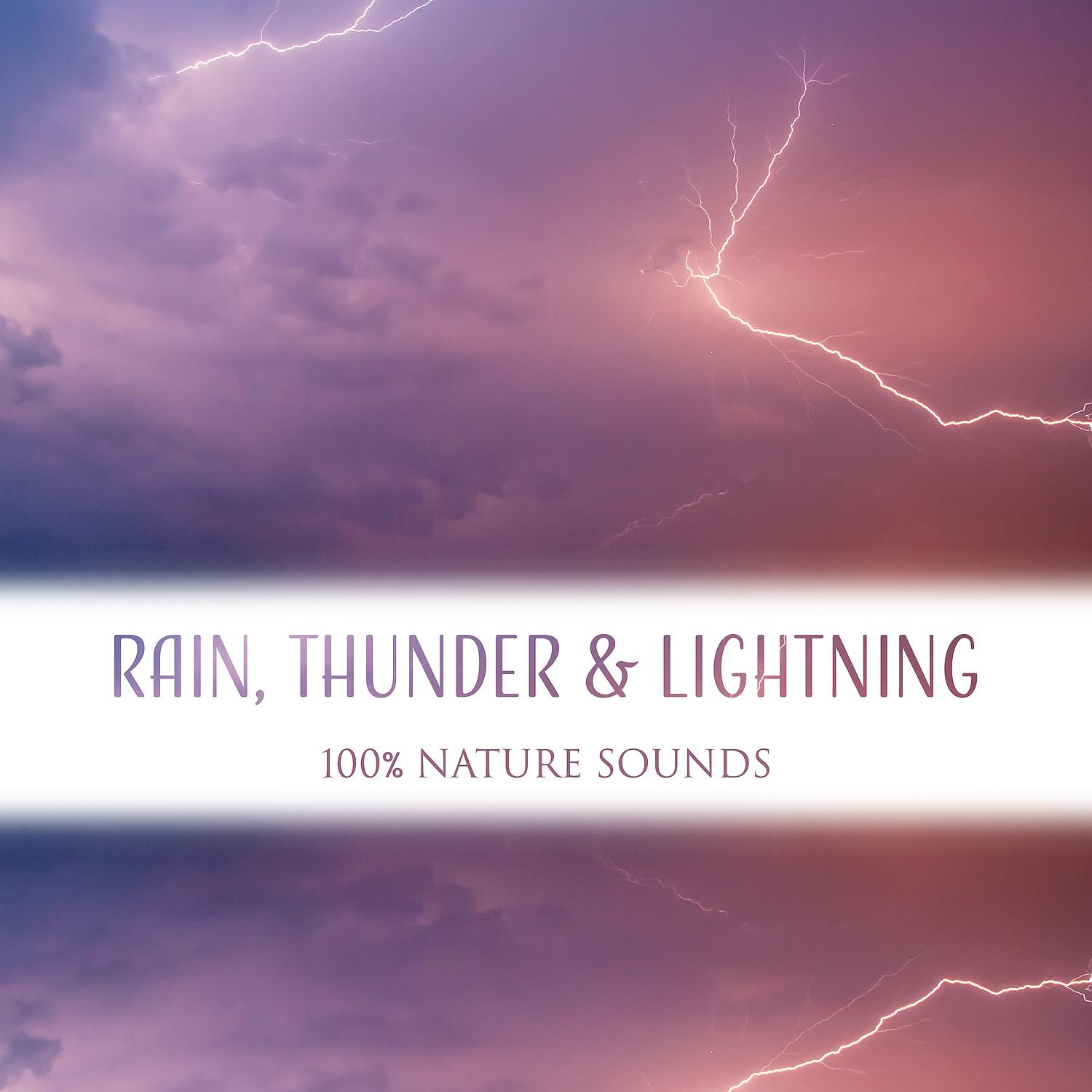 Healing Rain Sound Academy - Sleep Deeply with Gentle Rain