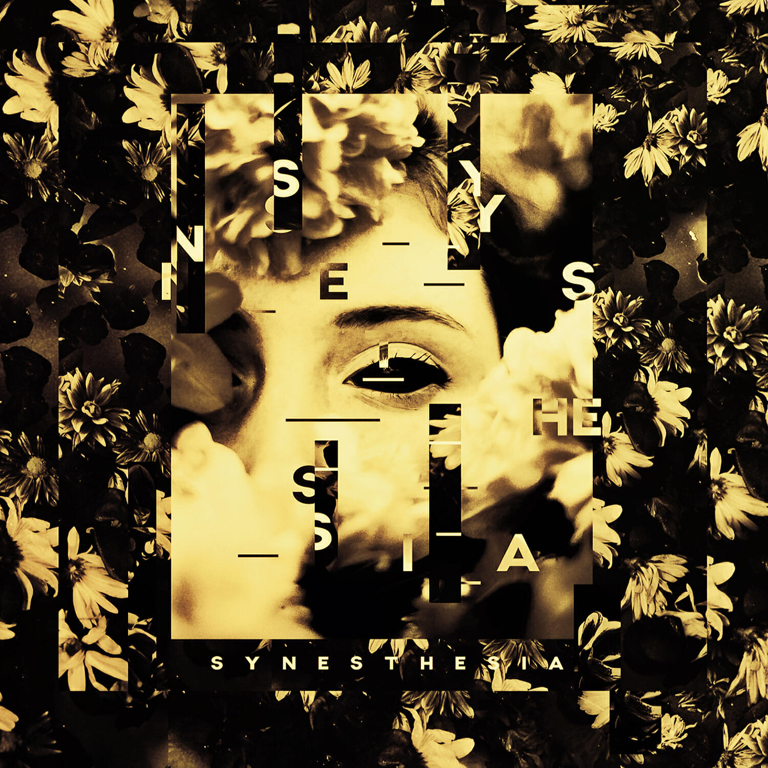 GOLDBOY - You're so Cool