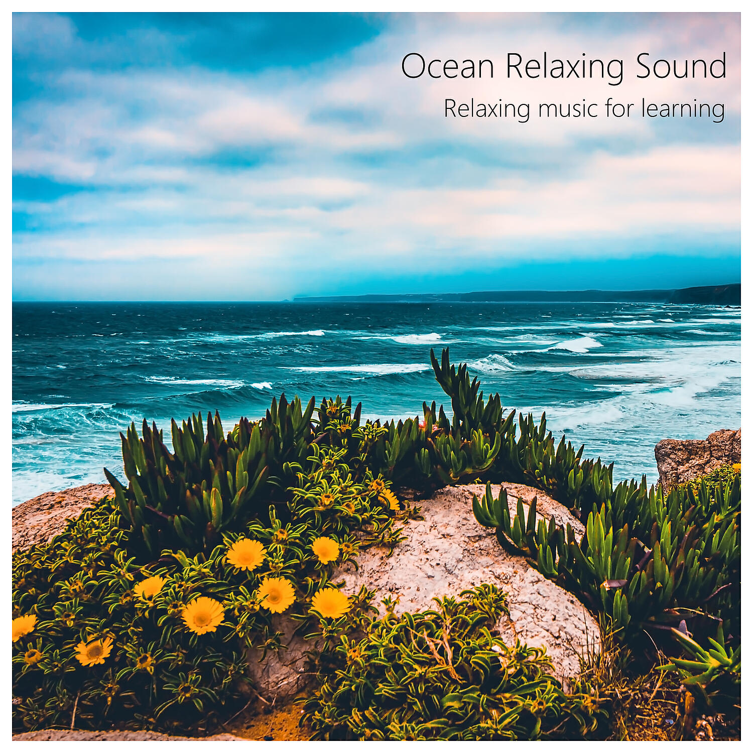 Relaxing music for learning - Nature Sound feat. Sleep Tight