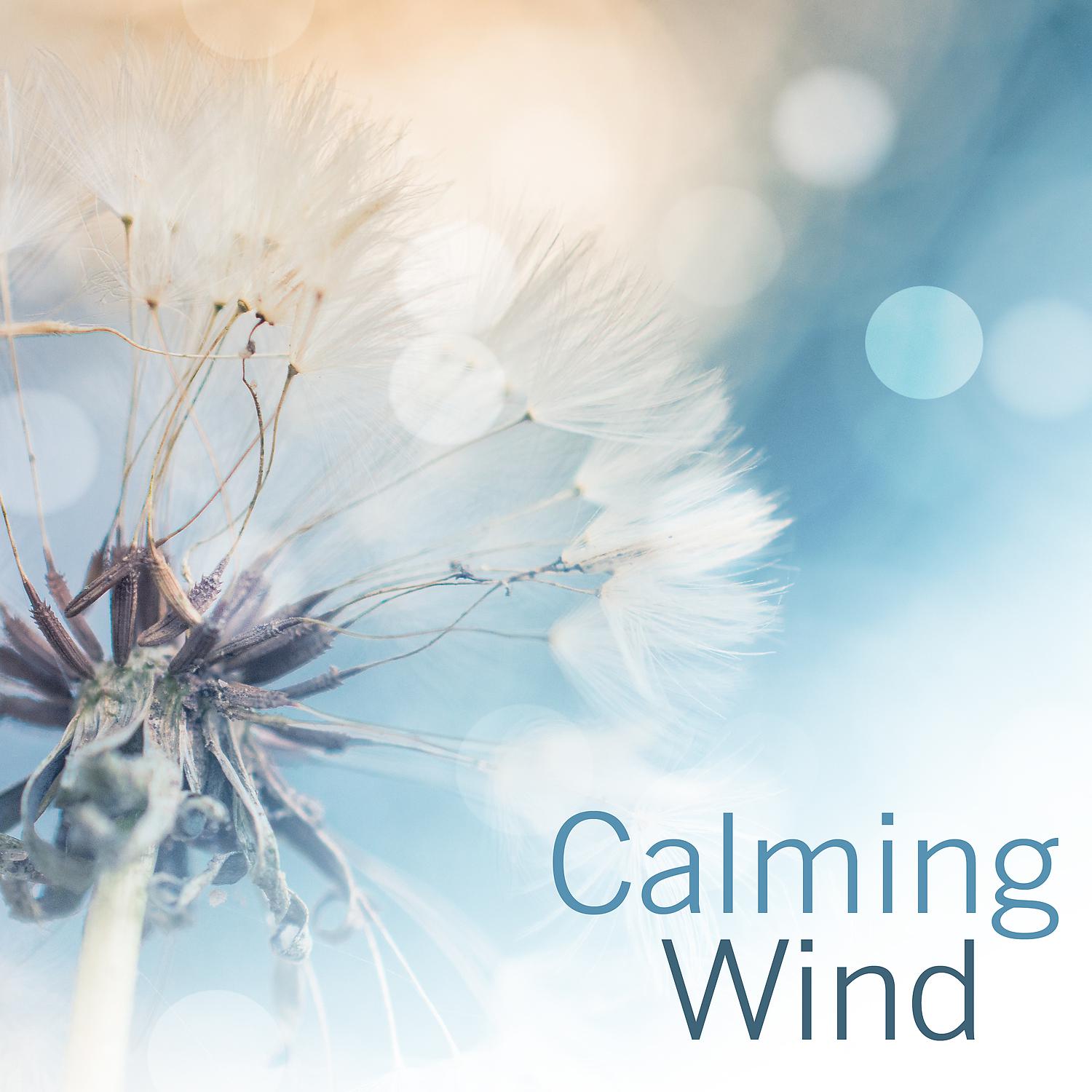 Постер альбома Calming Wind: 30 Relaxing Sounds for Positive Energy, Self Hepnosis Therapy, Gentle Sounds of Wind Chimes for Deep Sleep, Meditation & Yoga
