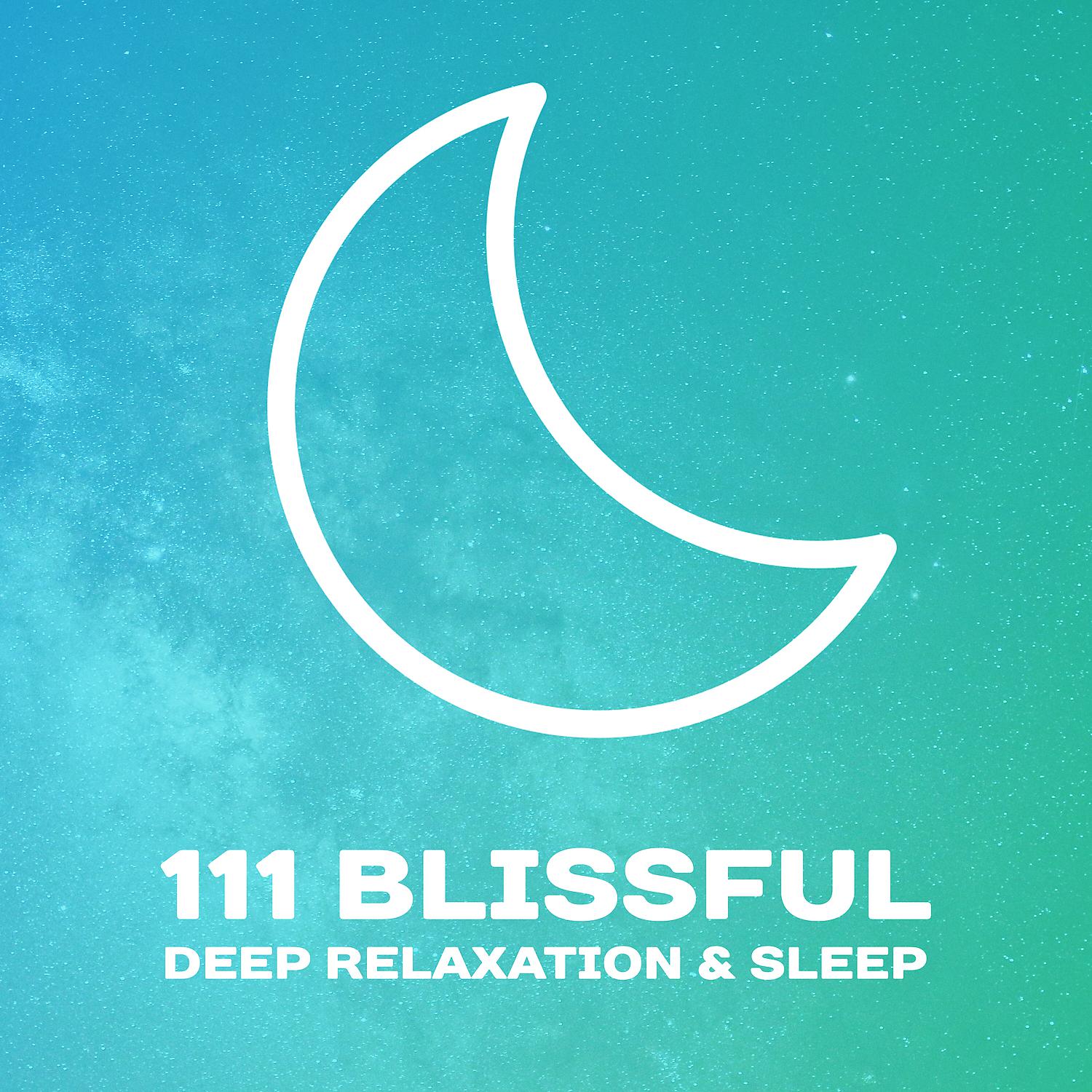 Постер альбома 111 Blissful Deep Relaxation & Sleep: Music for Restful Sleep, Cure for Insomnia, Total Relax for Body & Mind, Serenity Nature Sounds
