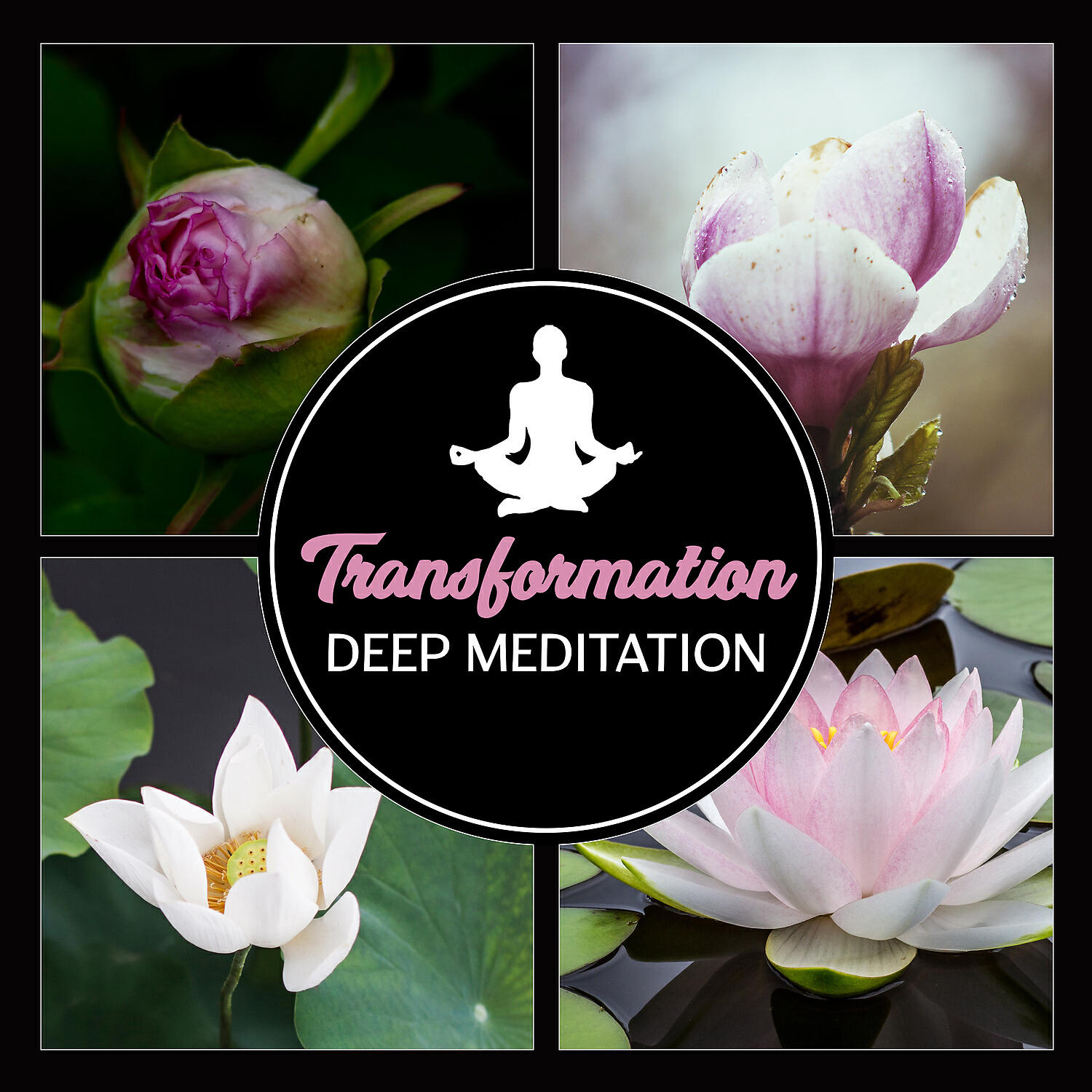 Meditation Time Zone - Deep Brain Regeneration